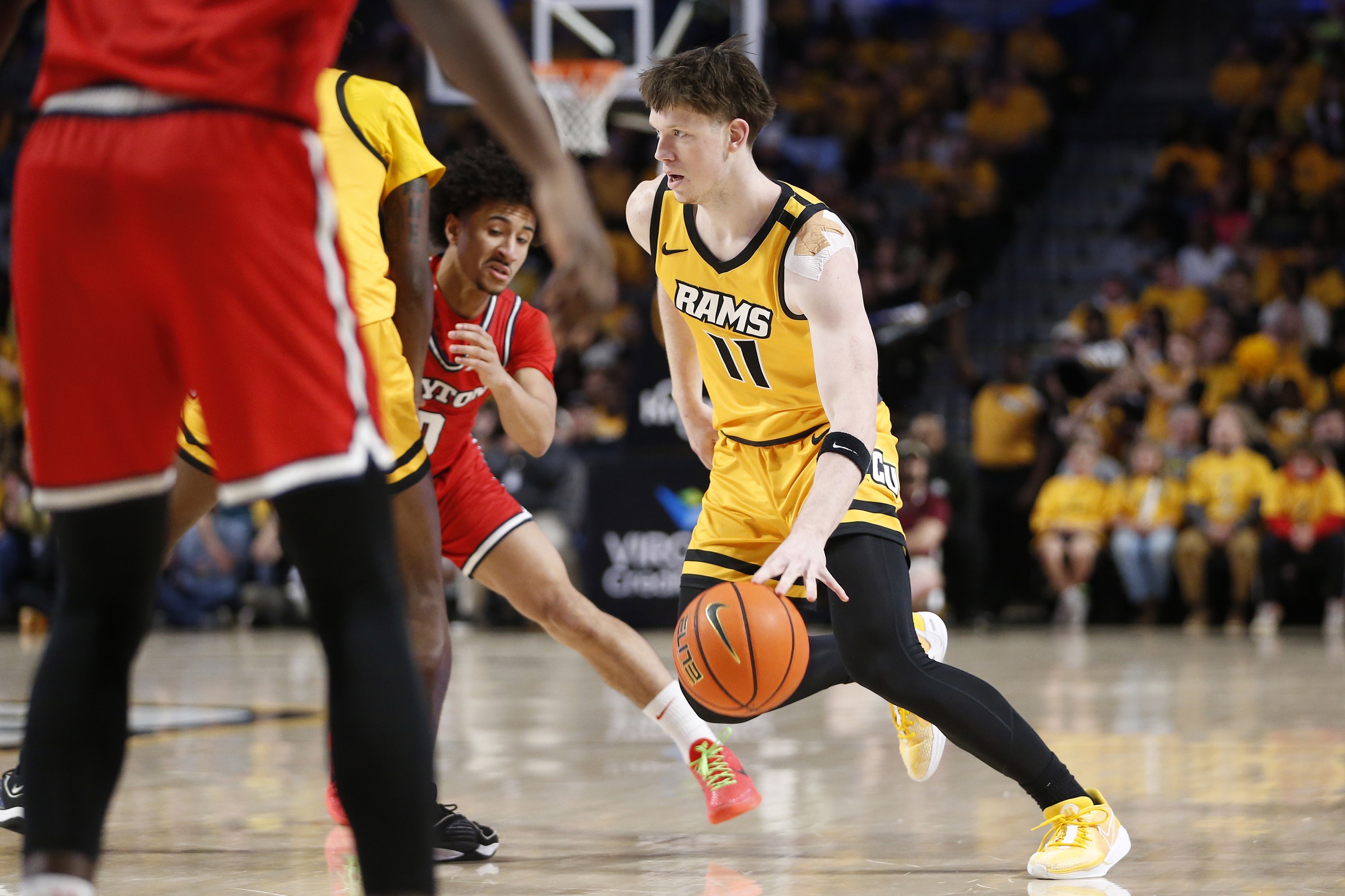 college basketball picks Max Shulga VCU Rams predictions best bet odds