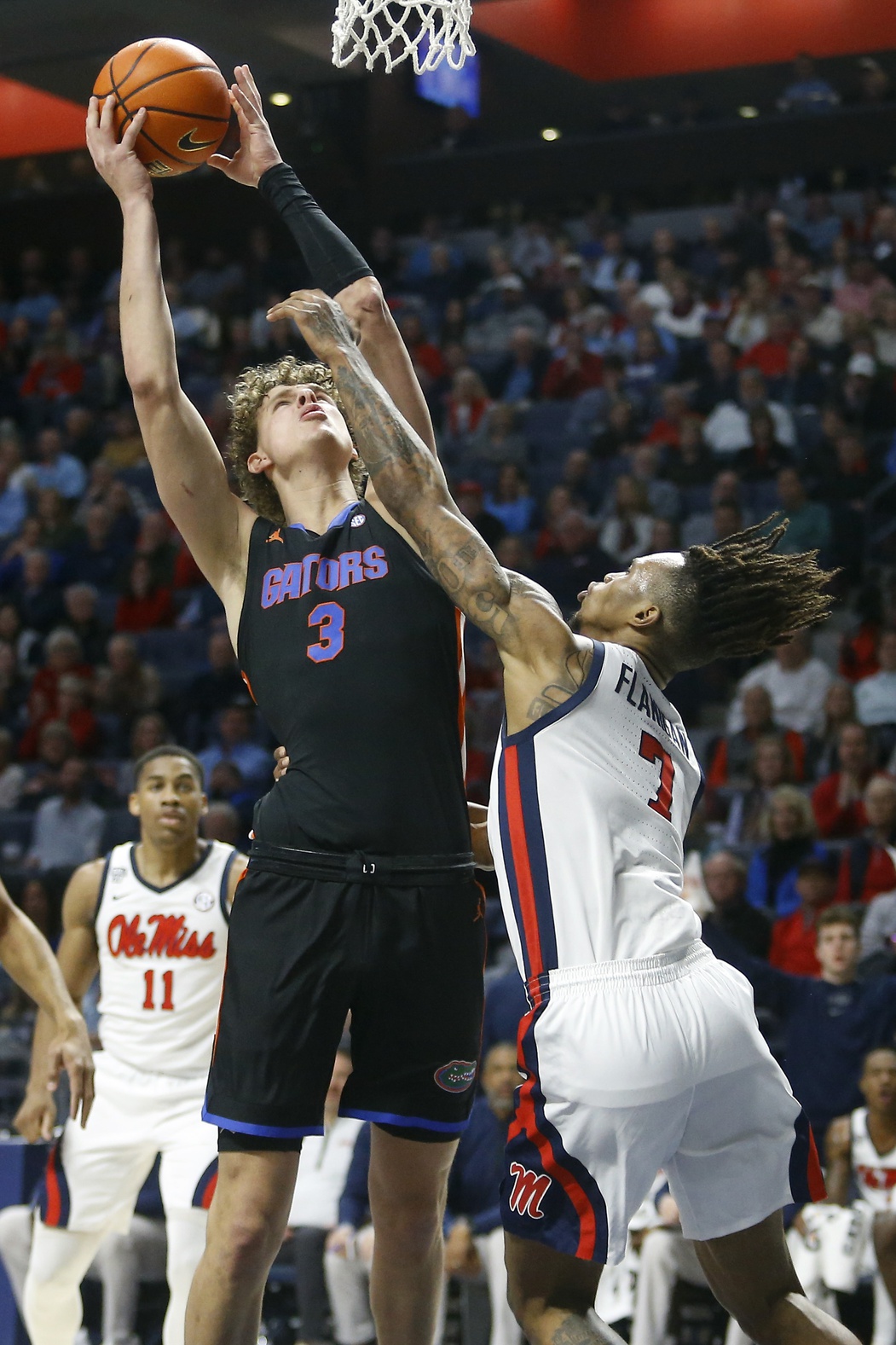 college basketball picks Micah Handlogten Florida Gators predictions best bet odds