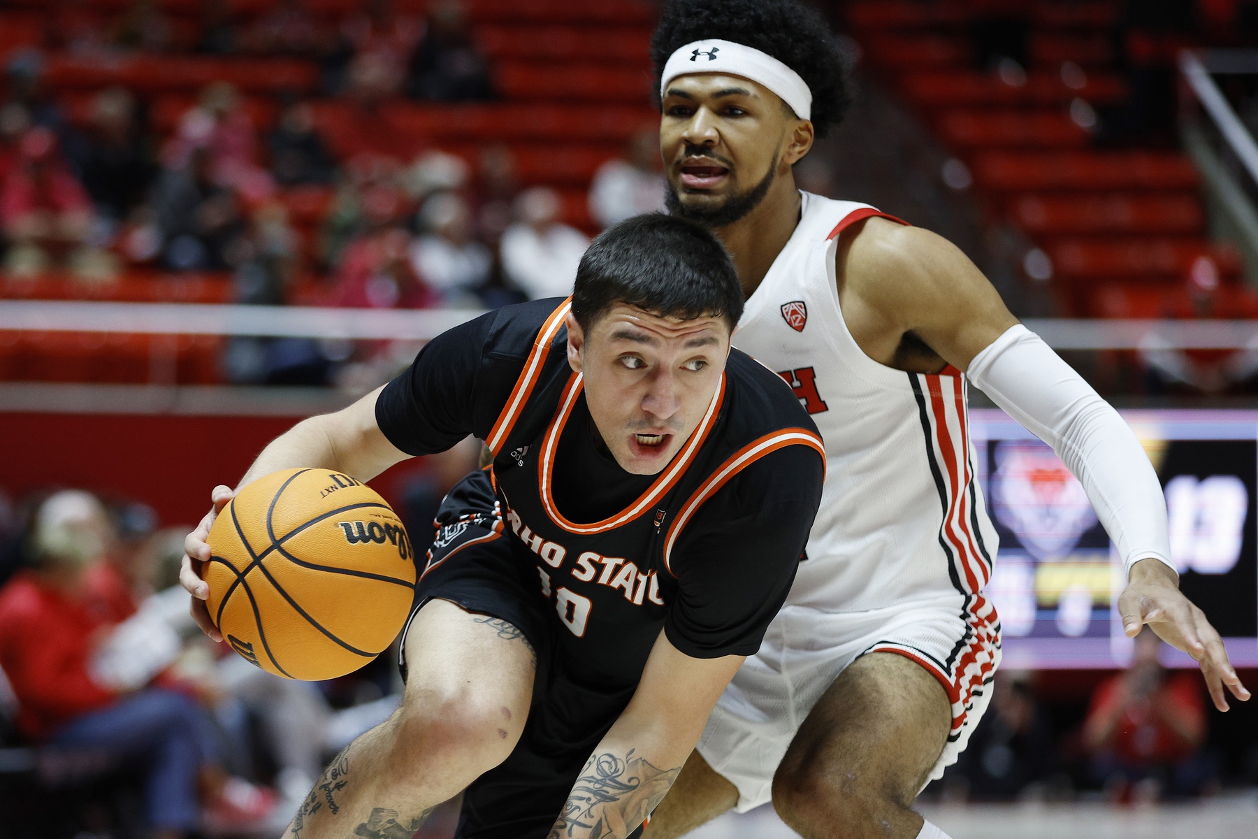 college basketball picks Miguel Tomley Idaho State Bengals predictions best bet odds