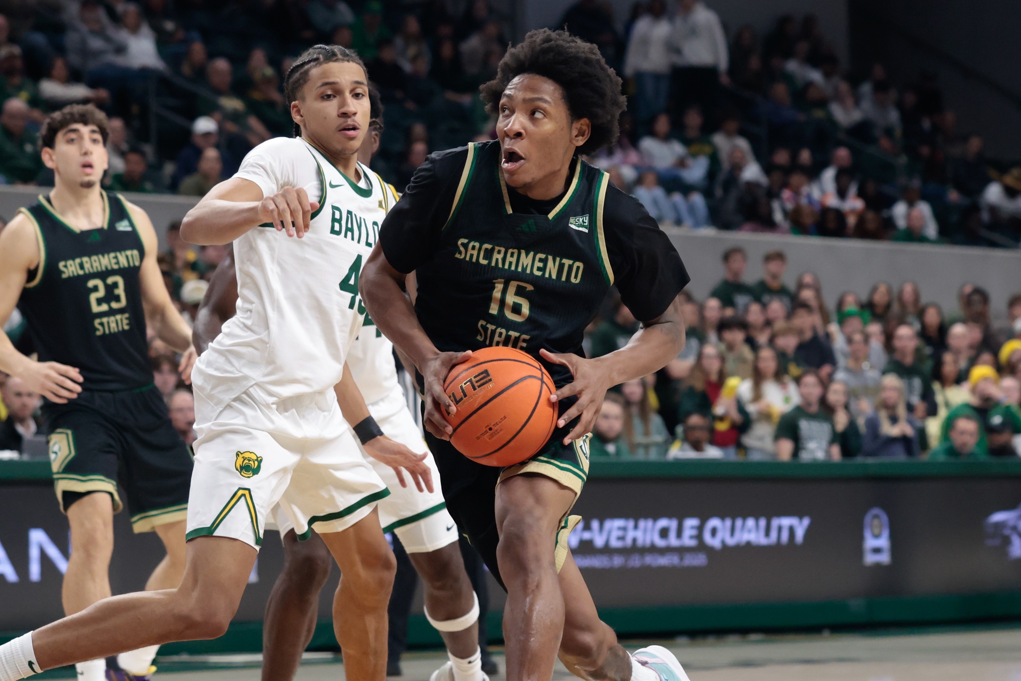 college basketball picks Prophet Johnson Sacramento State Hornets predictions best bet odds
