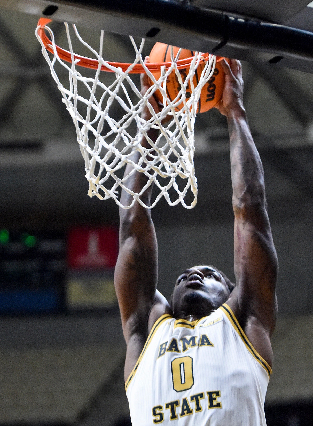 college basketball picks Tyler Byrd Alabama State Hornets predictions best bet odds