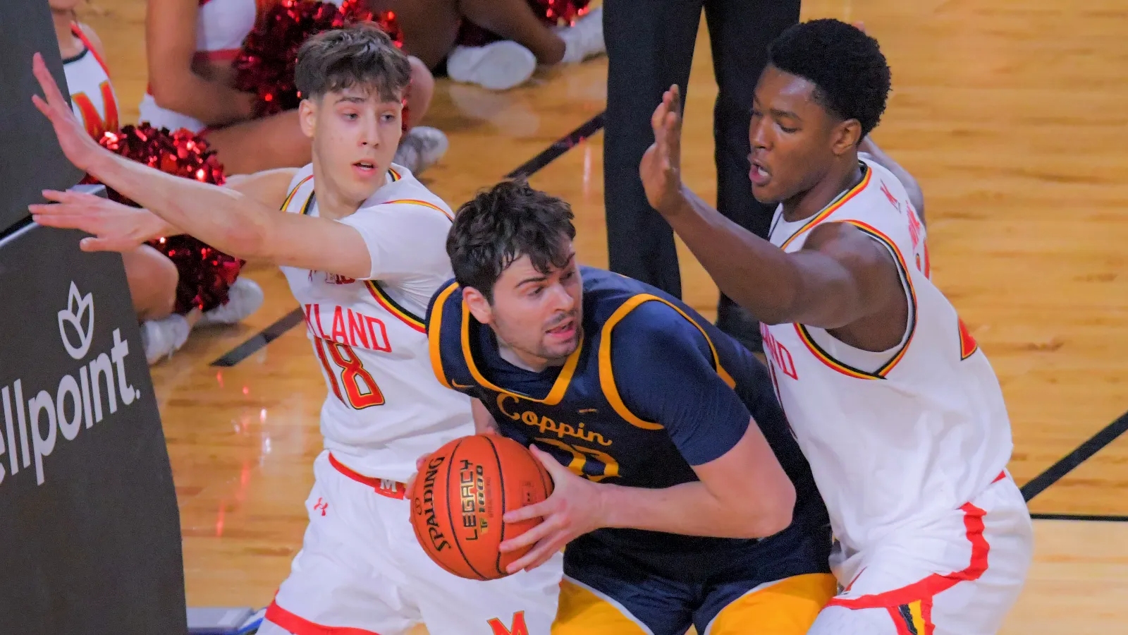 college basketball picks Tyler Koenig Coppin State Eagles predictions best bet odds