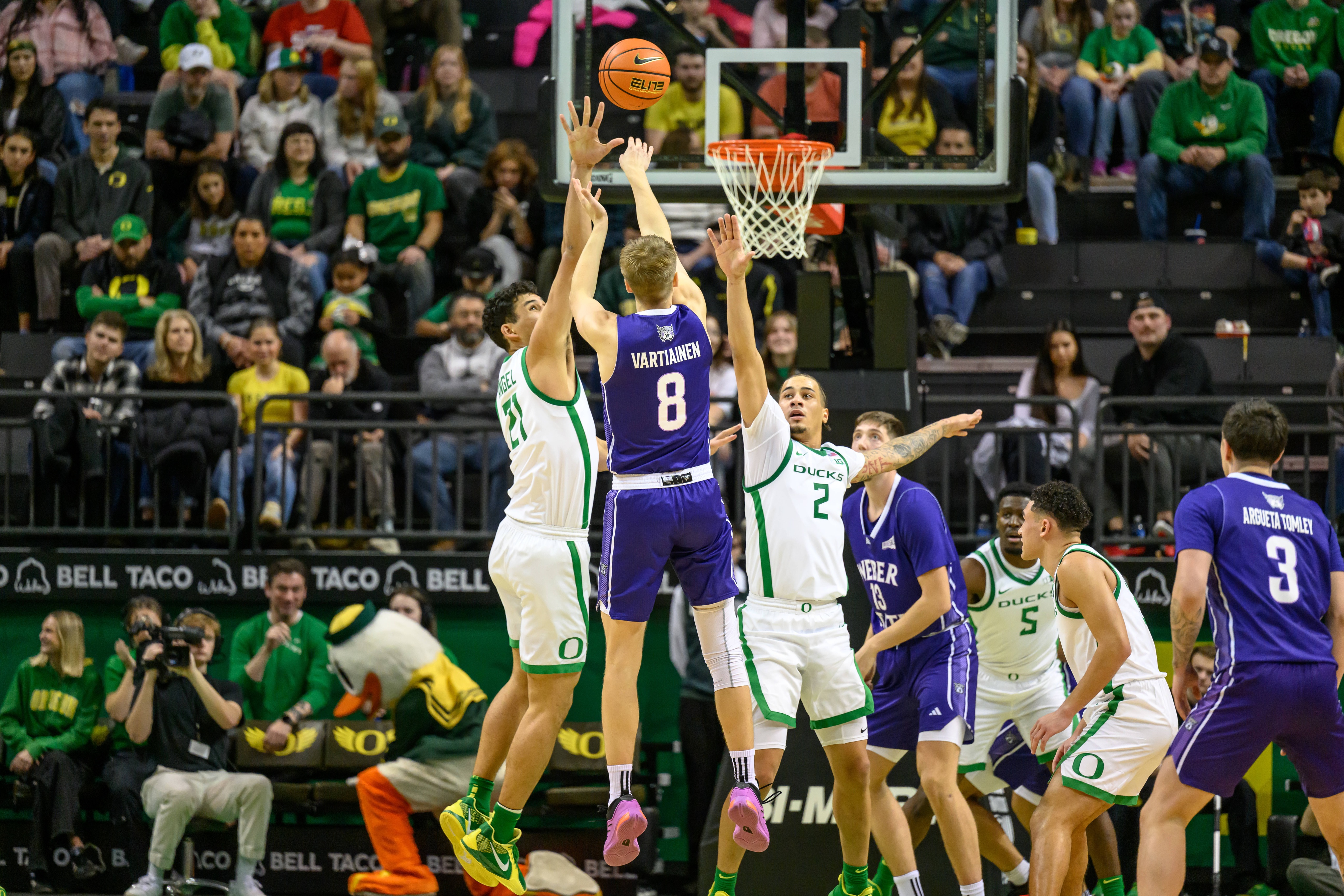 college basketball picks Viljami Vartiainen Weber State Wildcats predictions best bet odds