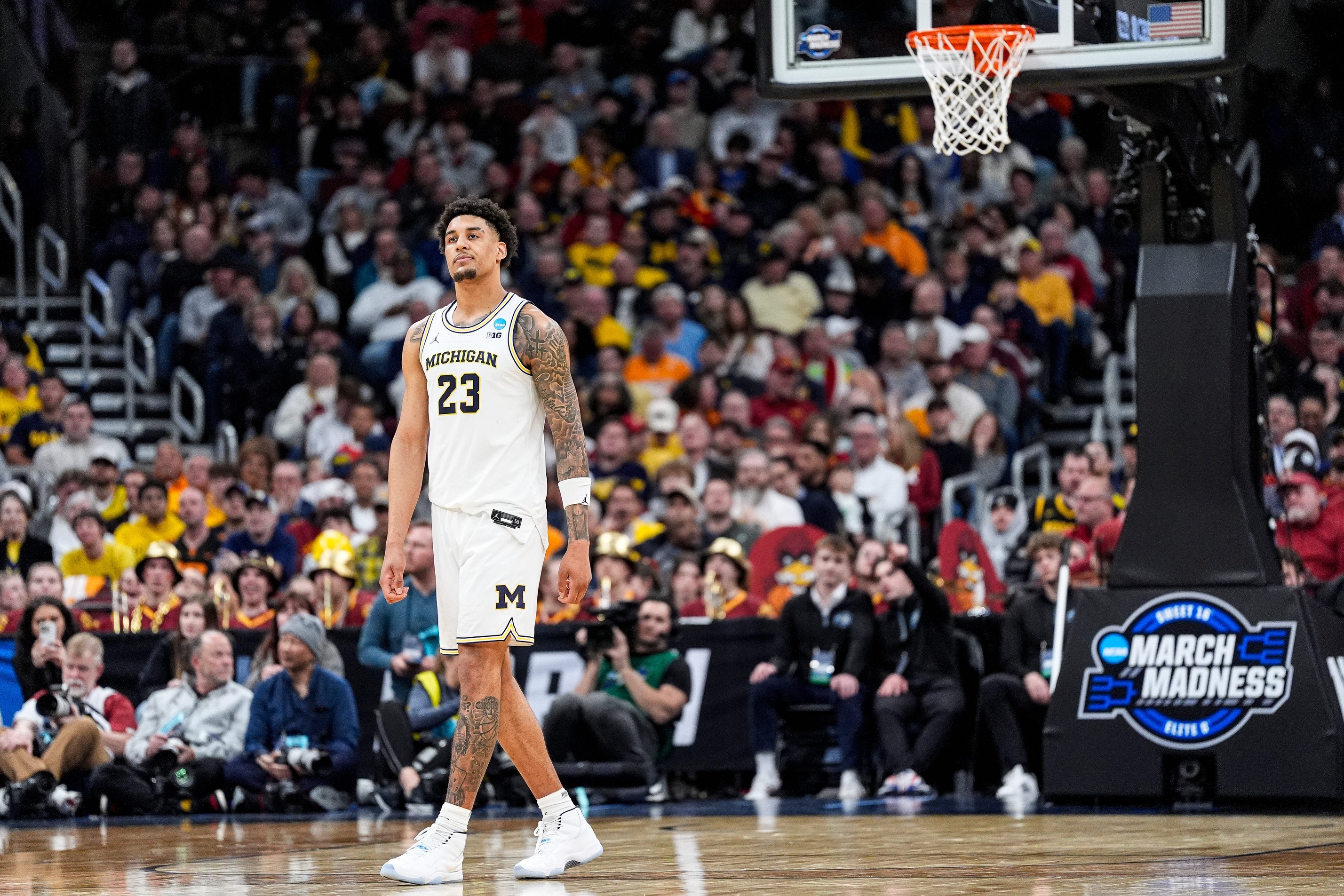 college basketball picks Yaxel Lendeborg Michigan Wolverines predictions best bet odds