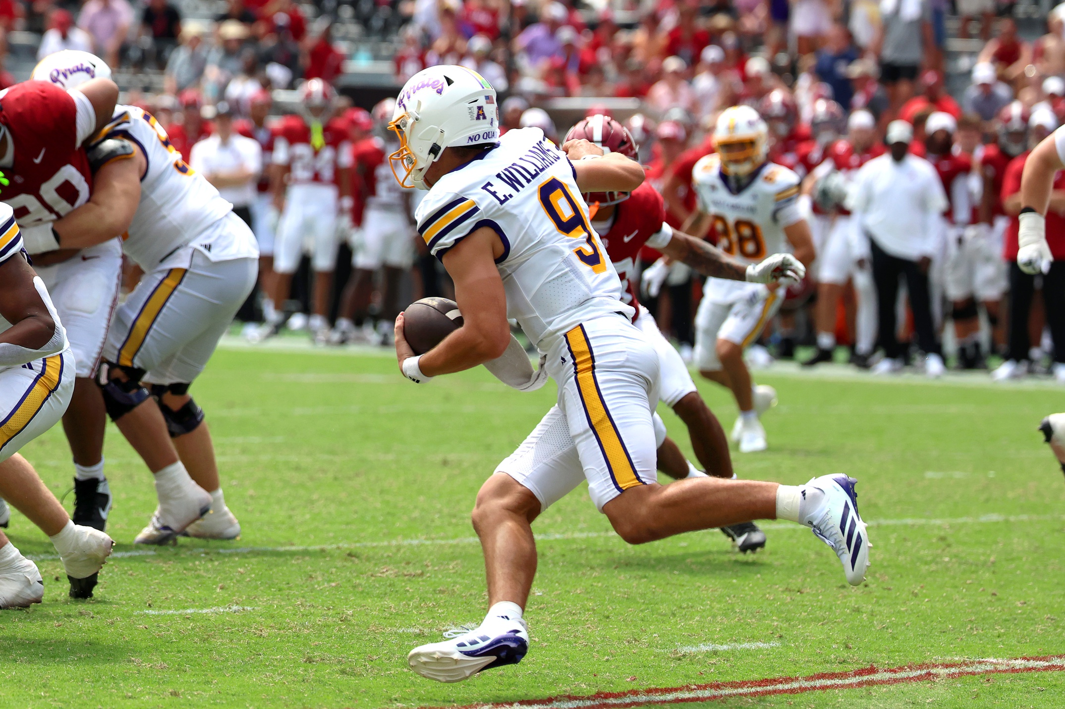 Emory Williams Best Prop Bets Today vs Temple Owls 10/31/2026