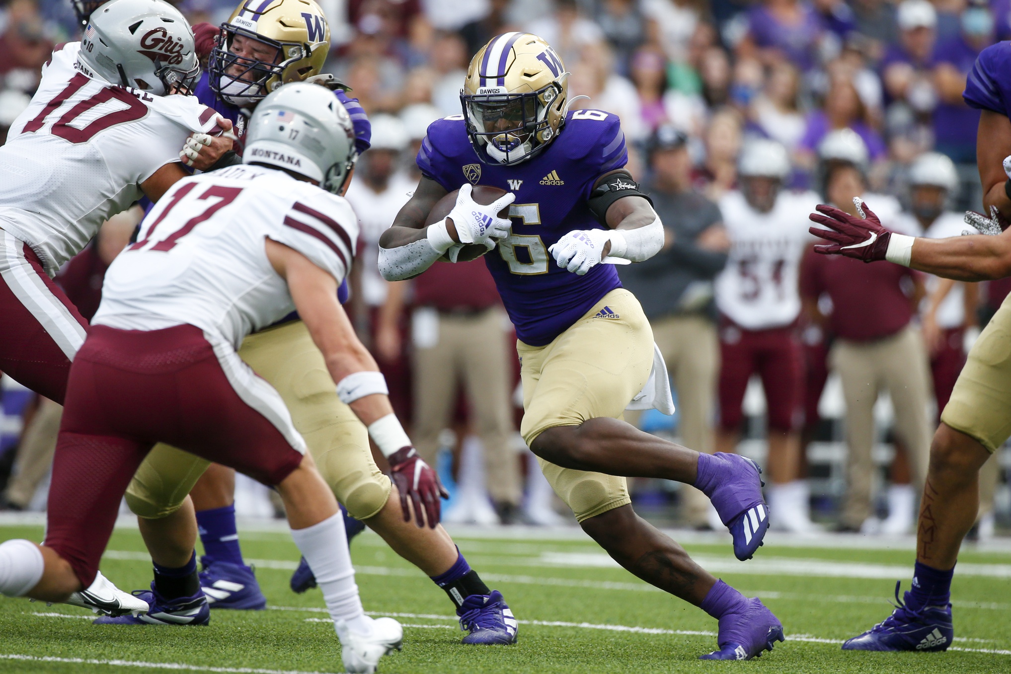 college football picks Richard Newton washington huskies predictions best bet odds