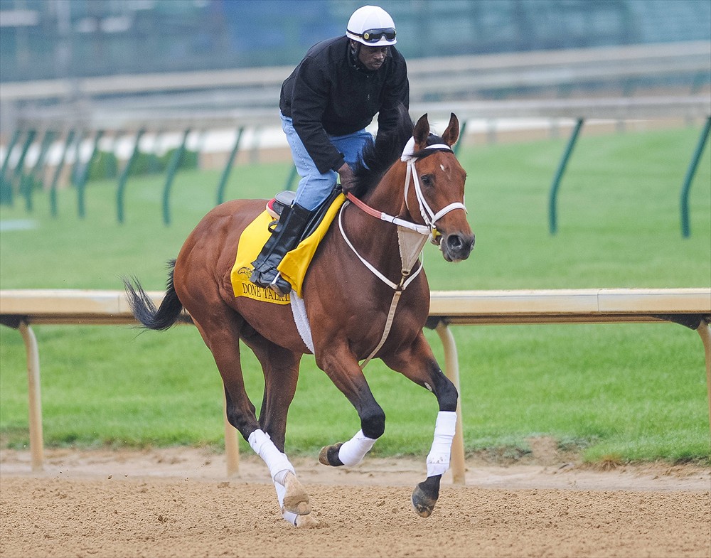 Kentucky Derby entrant Done Talking