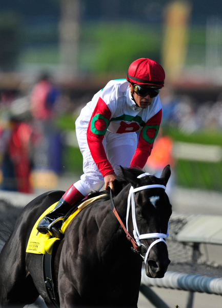 Preakness Betting - What is A Trifecta Bet? Horse Betting Trifecta Bets Explained