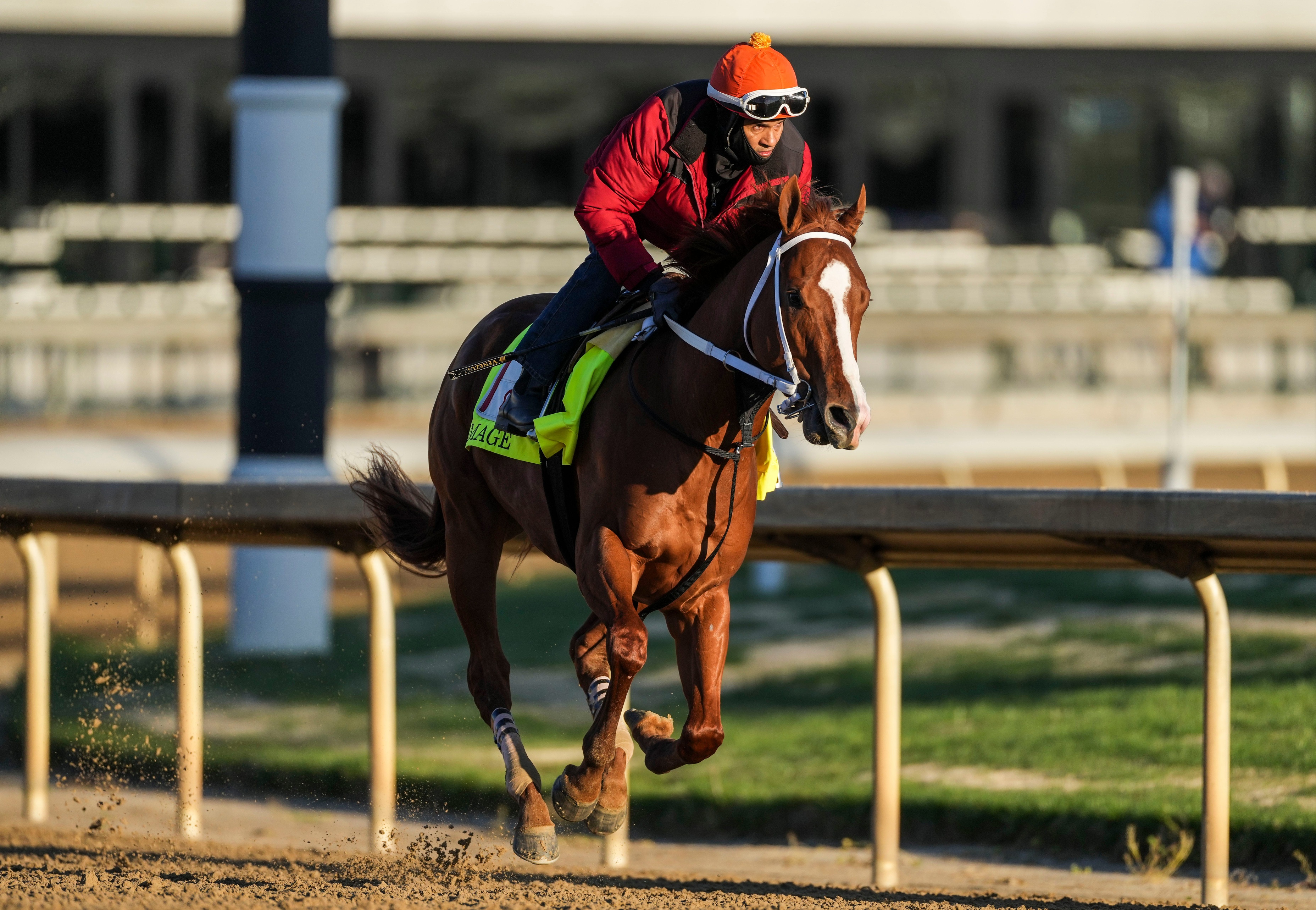 Kentucky Derby horse numbers and post positions Mage