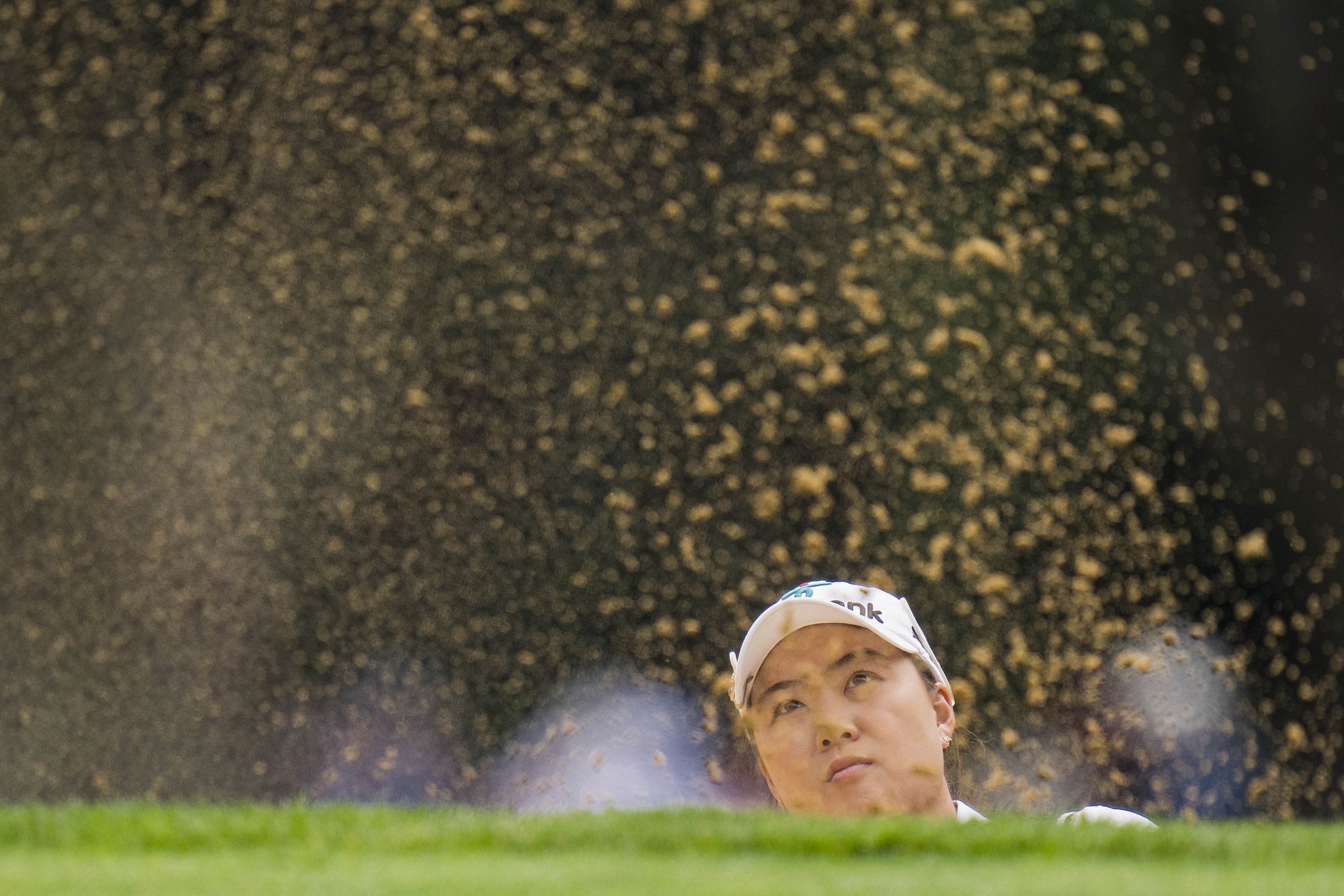 LPGA picks HSBC Women&rsquo;s World Championship Minjee Lee 
