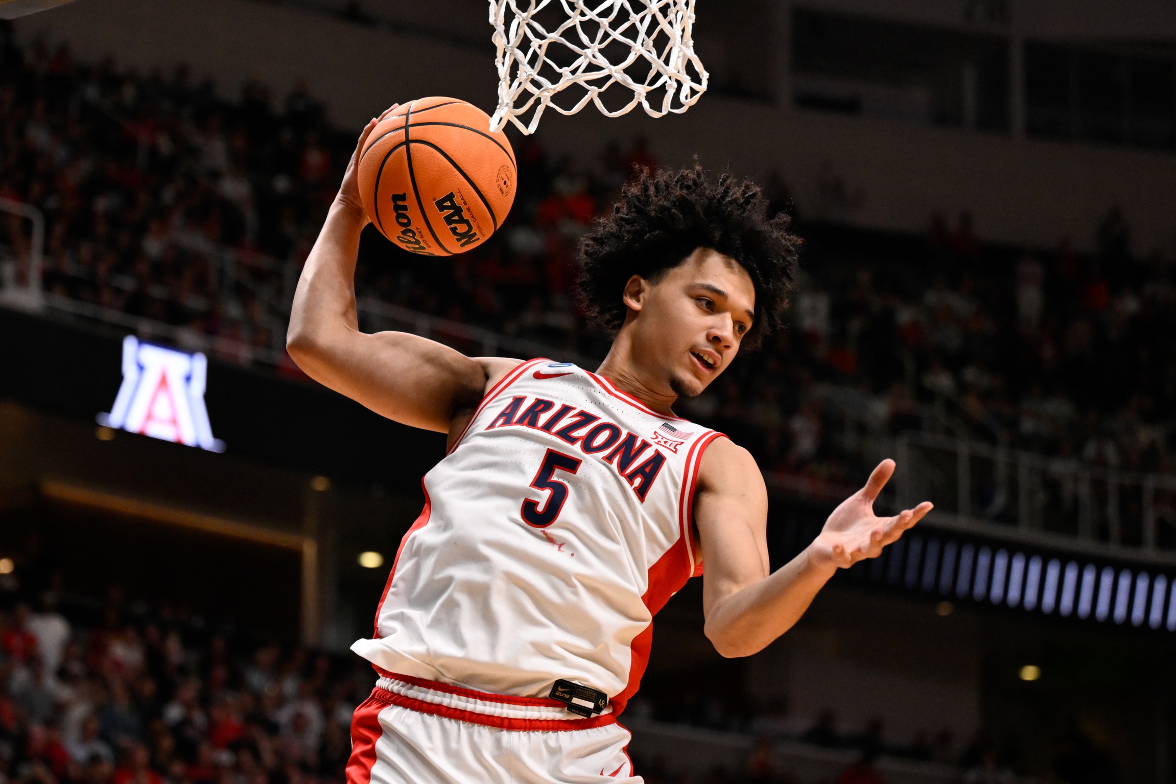 March Madness Final Four best bets Brayden Burries Arizona Wildcats