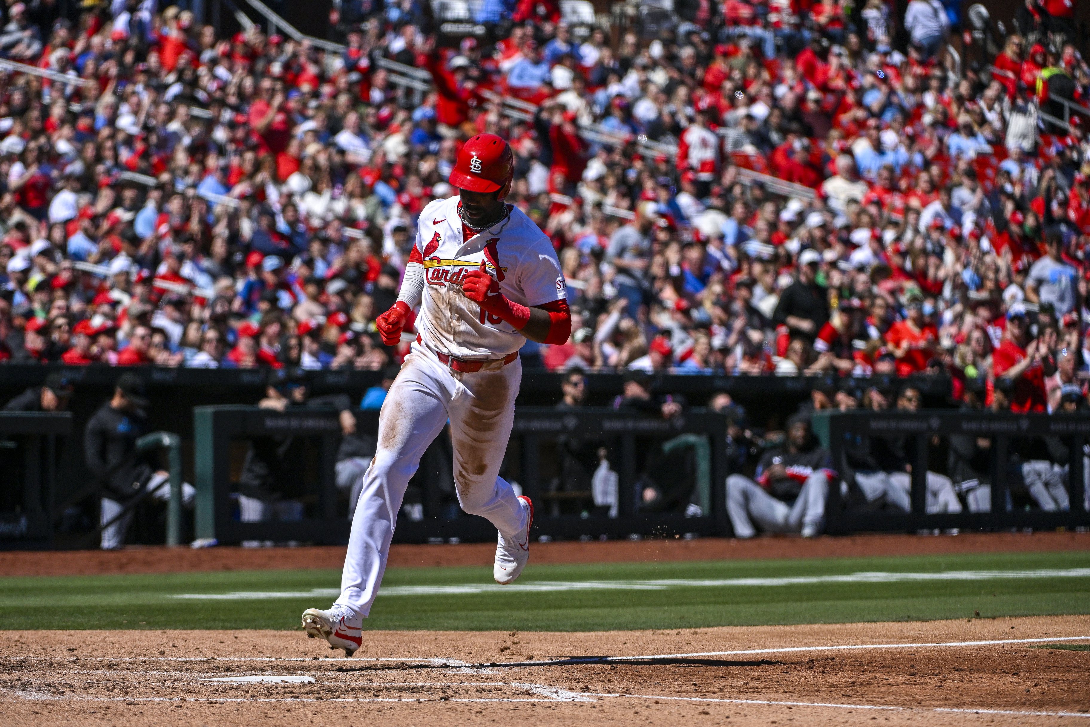 mlb picks Jordan Walker St. Louis Cardinals predictions best bet odds
