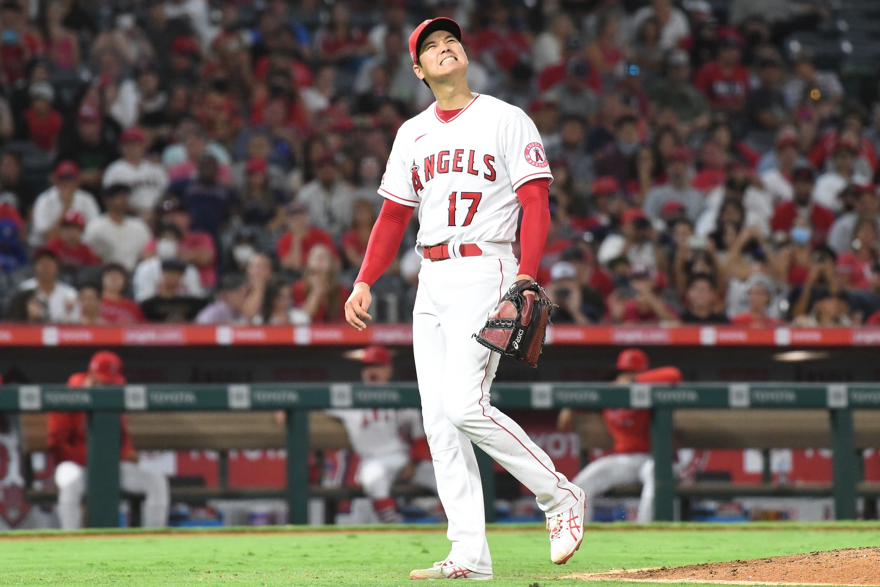 Houston Astros vs Los Angeles Angels Prediction, 8/14/2021 MLB Pick, Tips and Odds