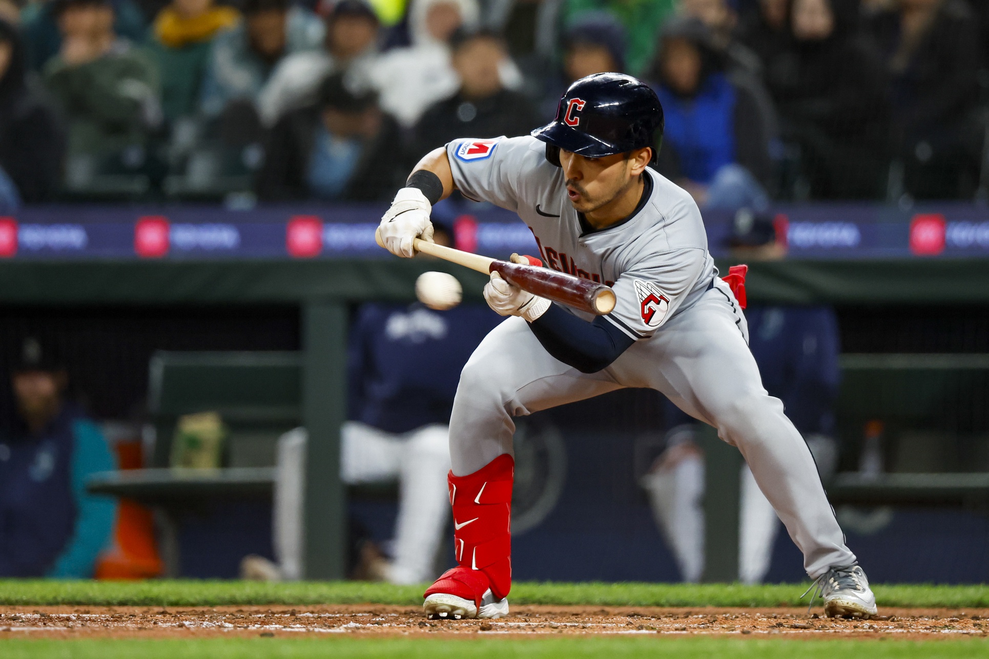 mlb picks Steven Kwan Cleveland Guardians predictions best bet odds