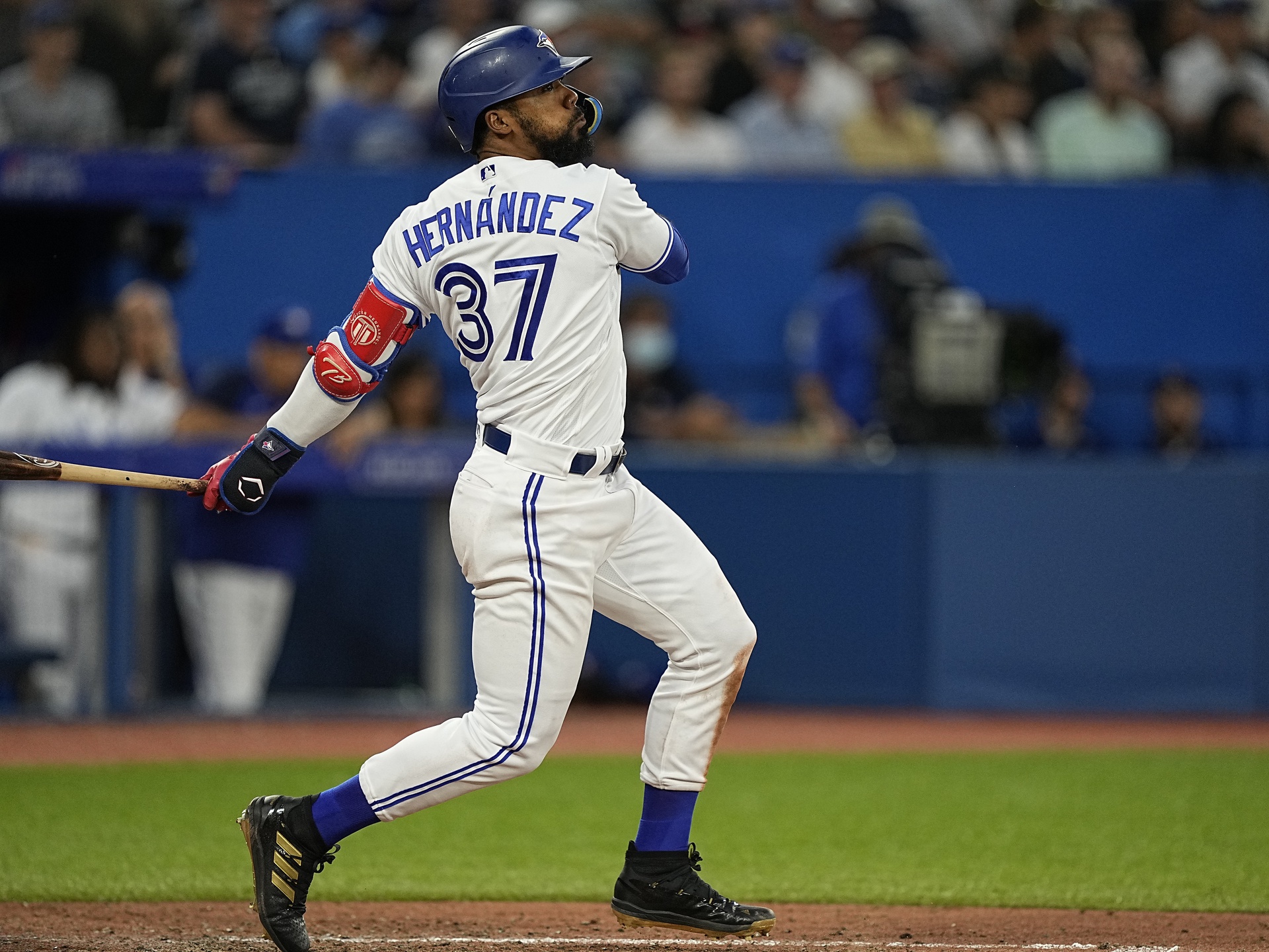 Tampa Bay Rays vs Toronto Blue Jays Prediction, 9/13/2022 MLB Picks, Best Bets & Odds