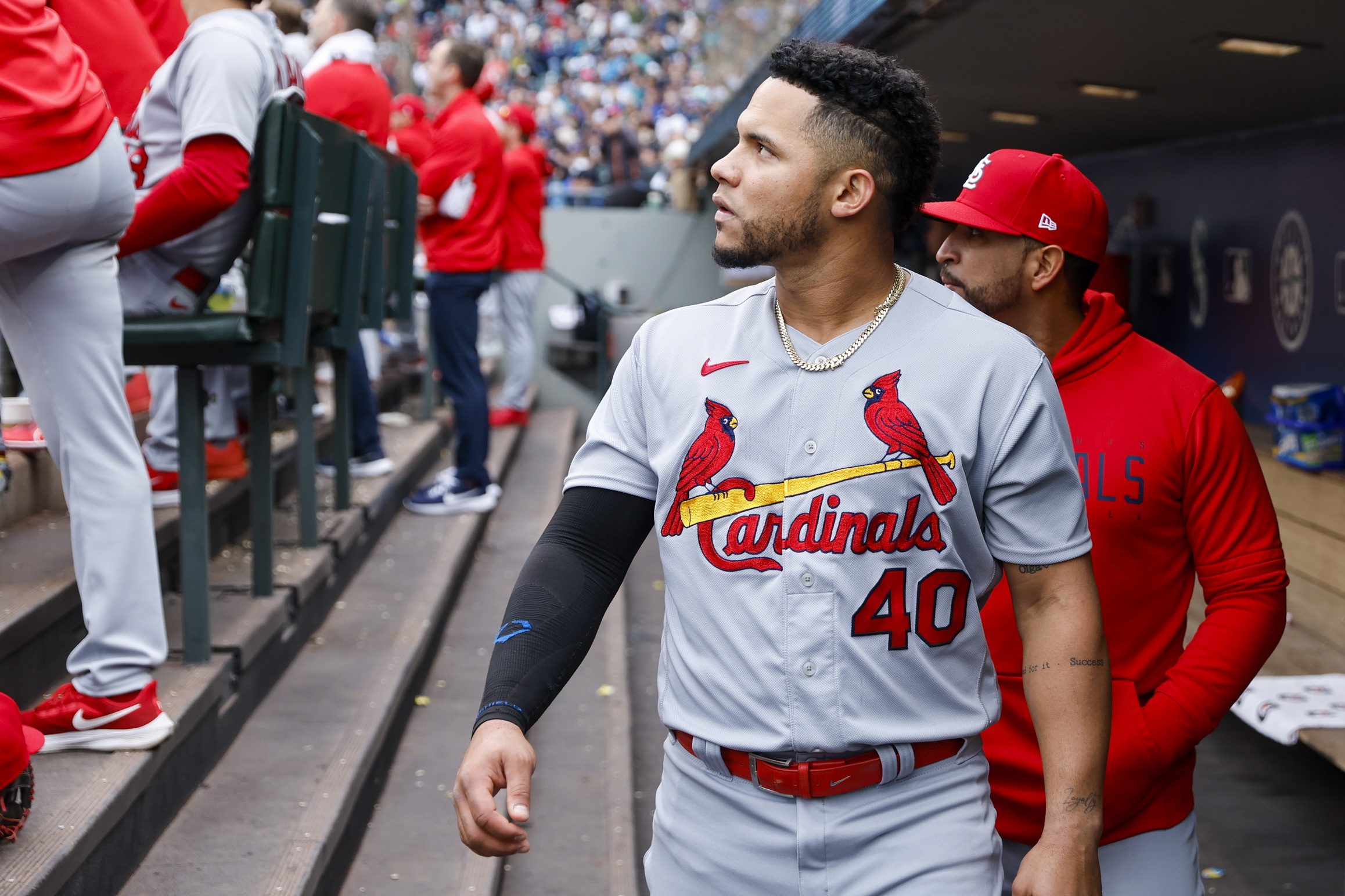 mlb picks Willson Contreras St. Louis Cardinals predictions best bet odds