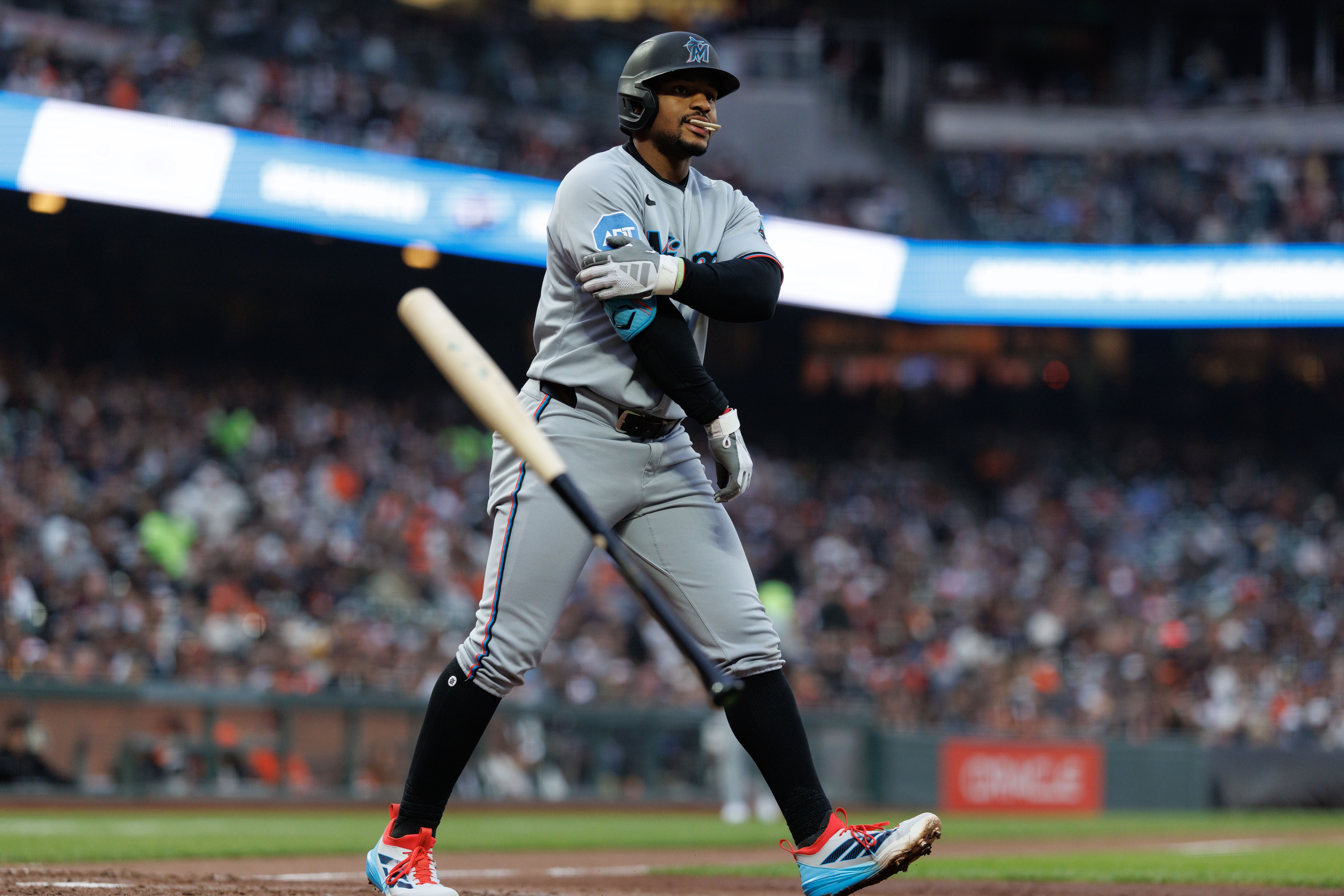 mlb picks Xavier Edwards Miami Marlins predictions best bet odds