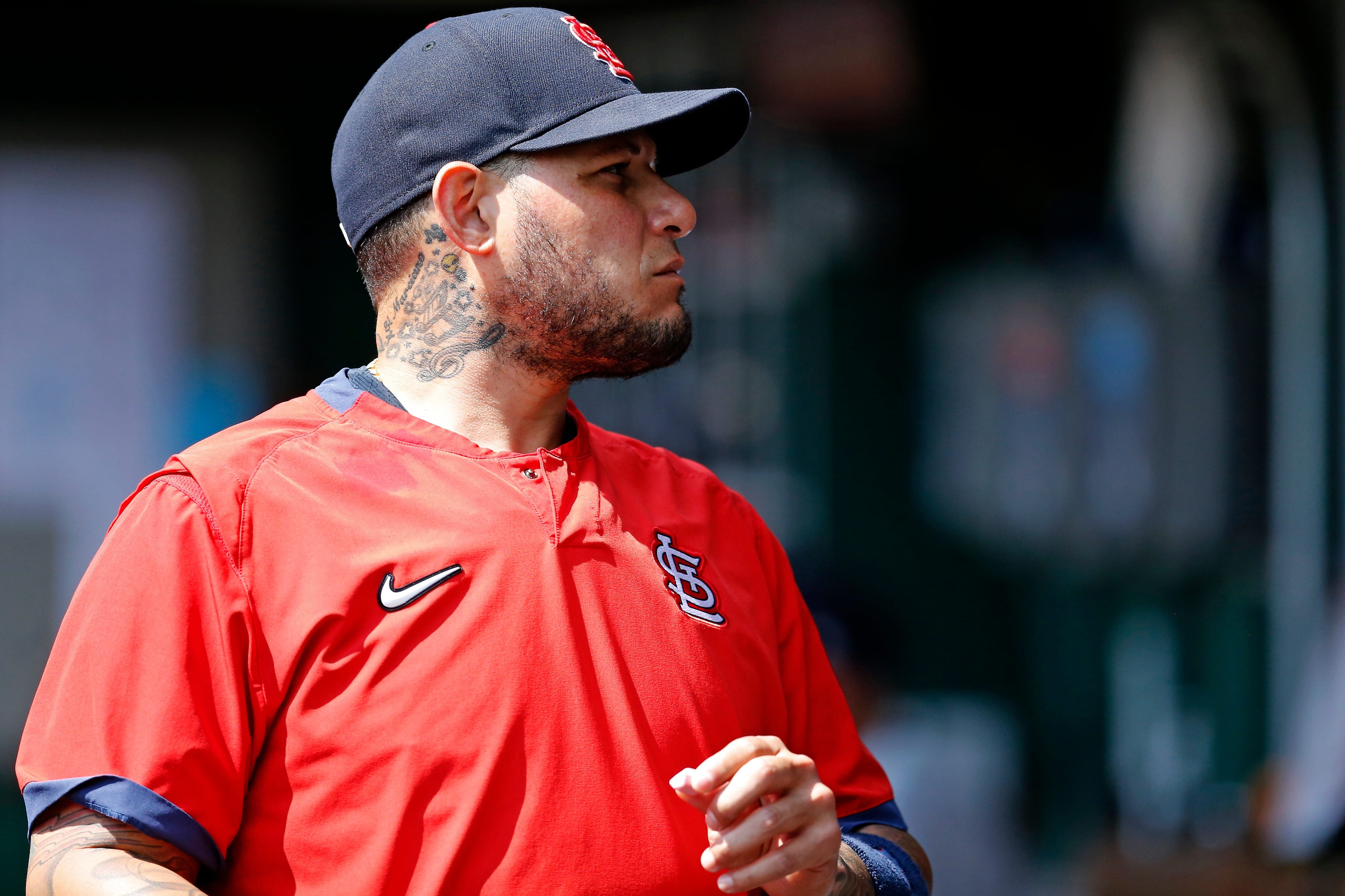 mlb picks Yadier Molina st. louis cardinals predictions best bet odds