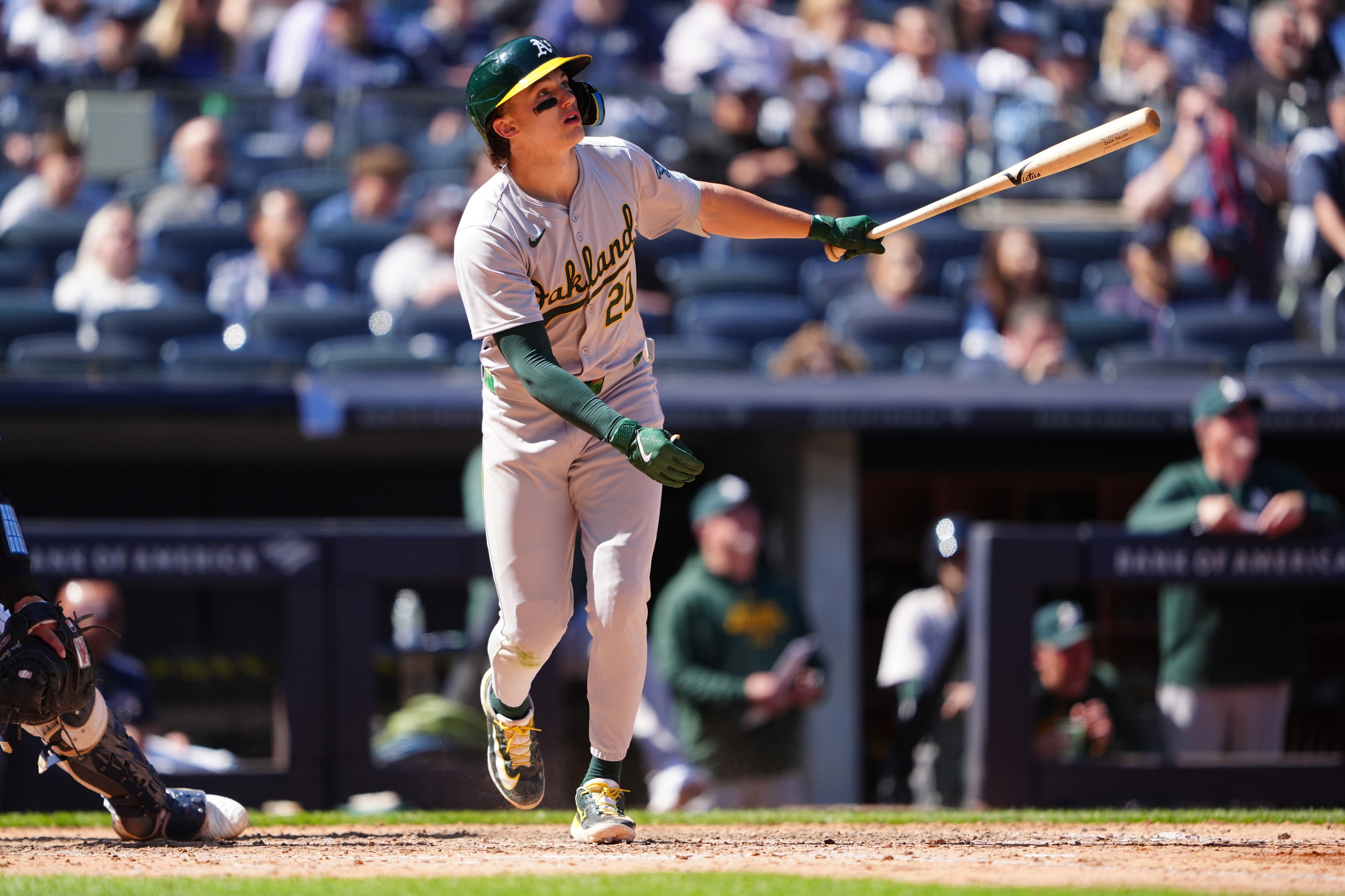 mlb picks Zack Gelof Oakland Athletics predictions best bet odds