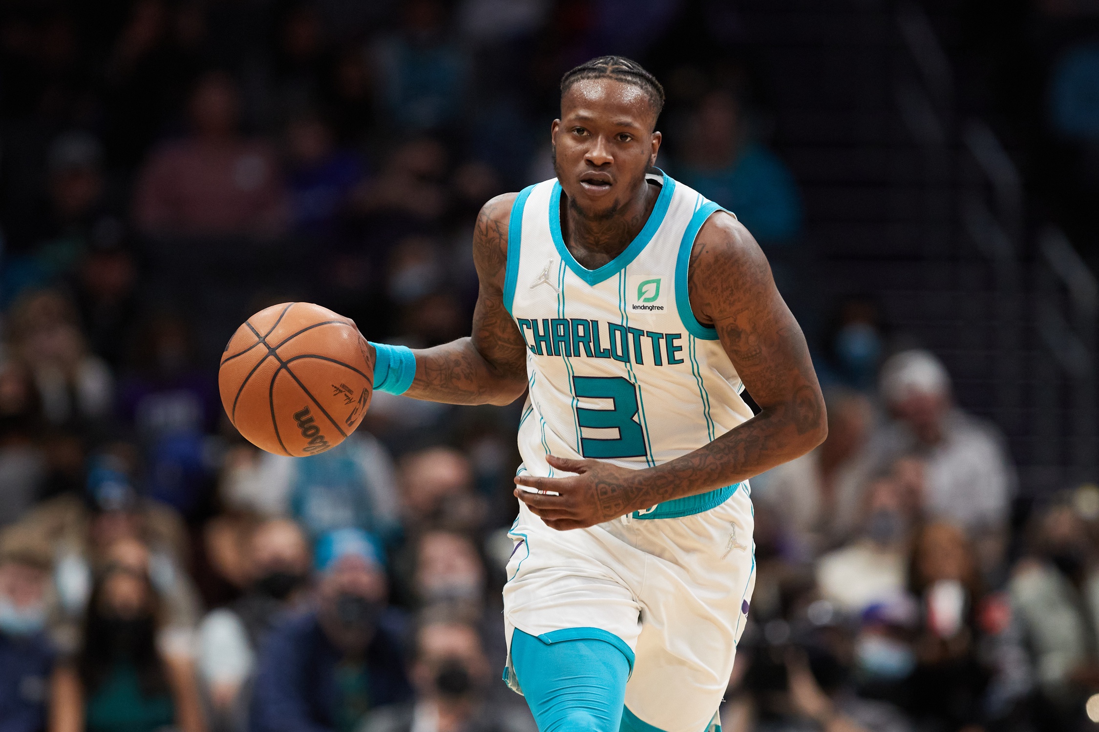 nba picks Terry Rozier Charlotte Hornets predictions best bet odds