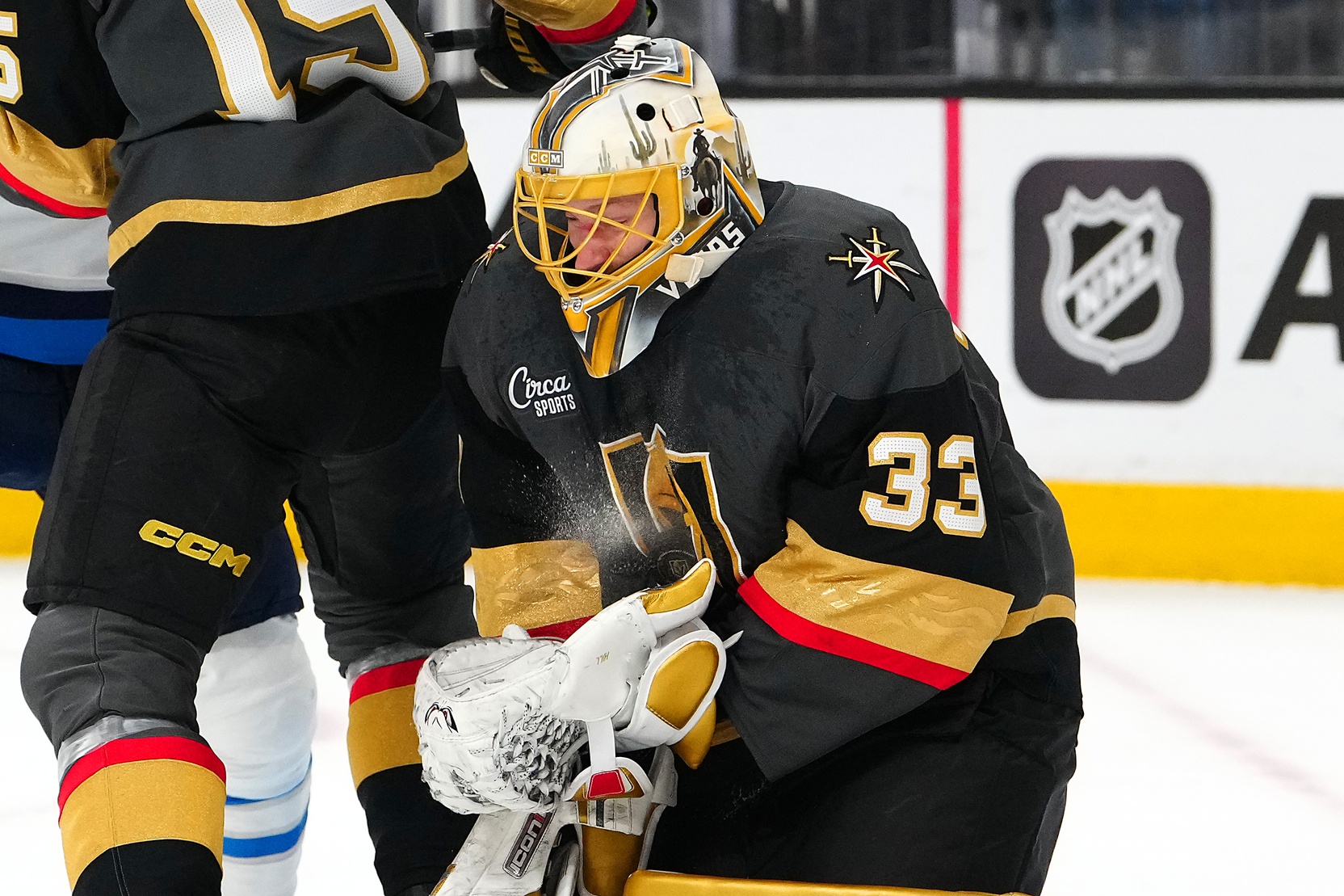 nhl picks Adin Hill Vegas Golden Knights nhl picks