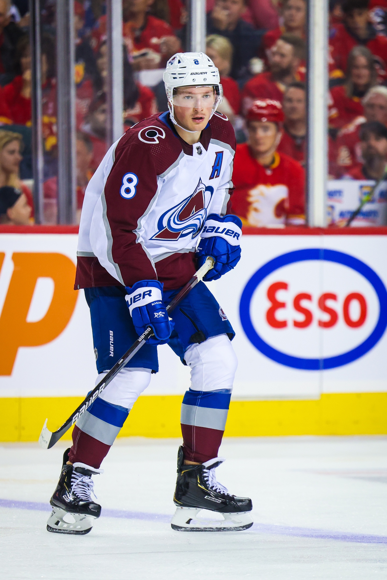 nhl picks Cale Makar Colorado Avalanche predictions best bet odds