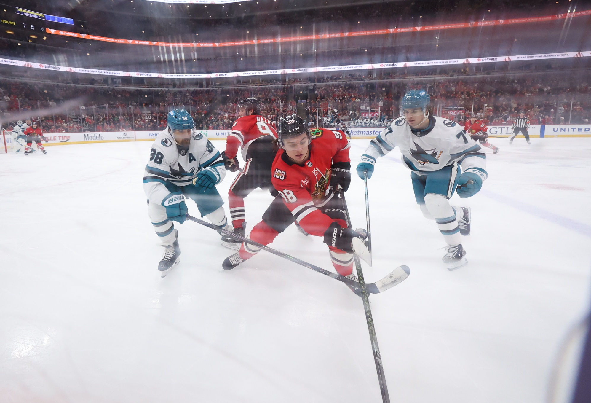 nhl picks Connor Bedard Chicago Blackhawks predictions best bet odds