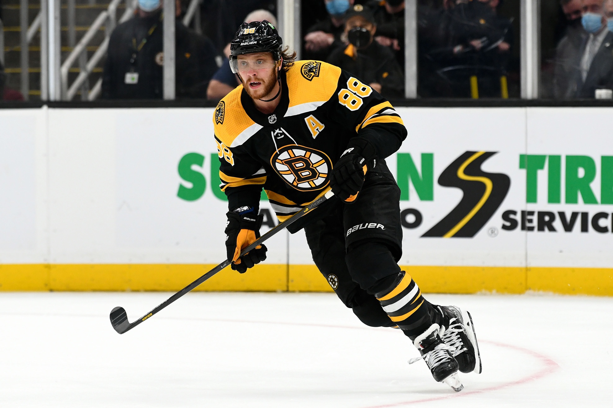 nhl picks David Pastrnak Boston Bruins predictions best bet odds