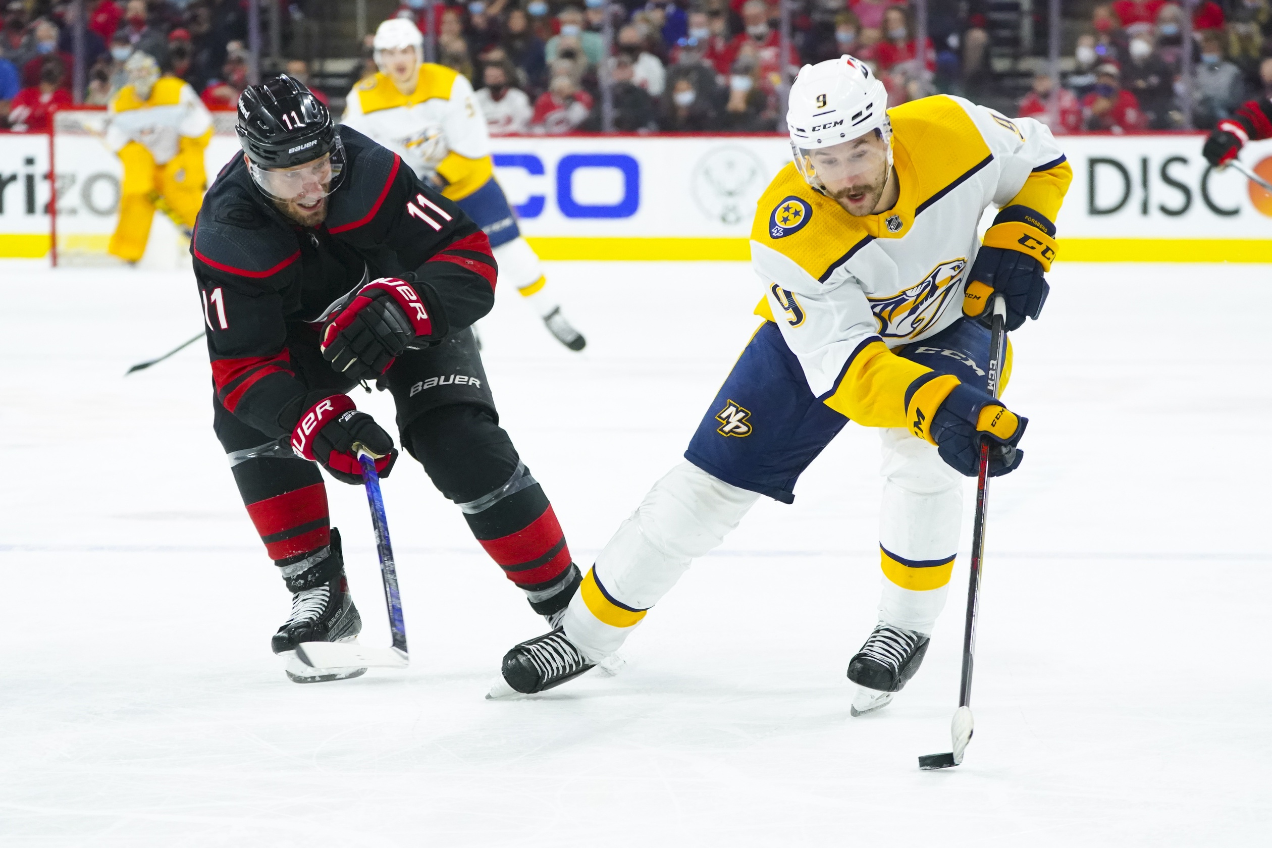 nhl picks Filip Forsberg Nashville Predators predictions best bet odds