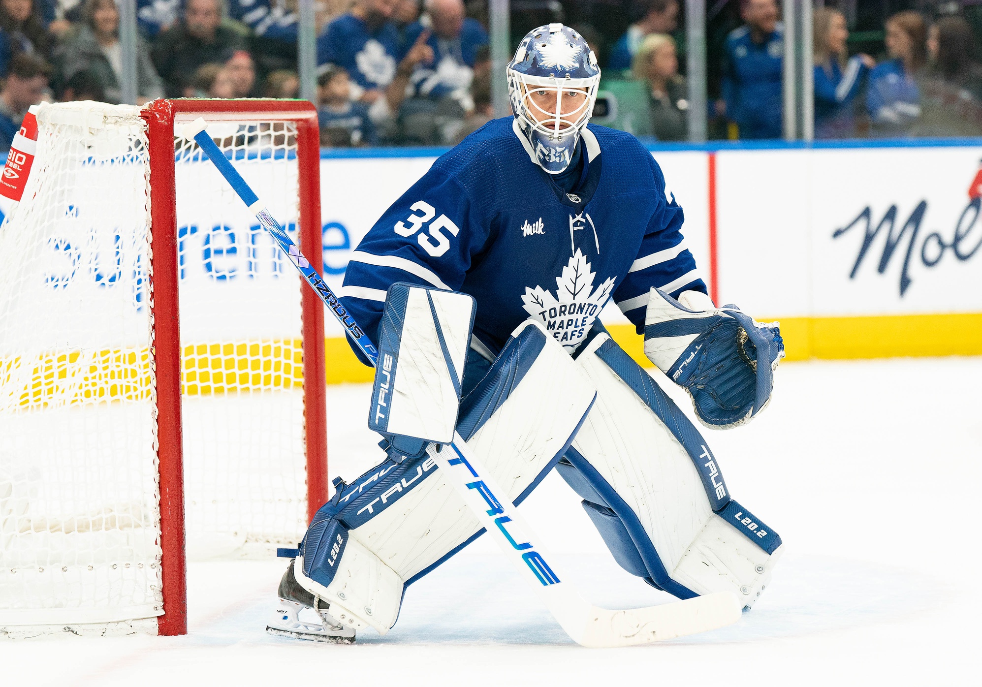 nhl picks Ilya Samsonov Toronto Maple Leafs predictions best bet odds