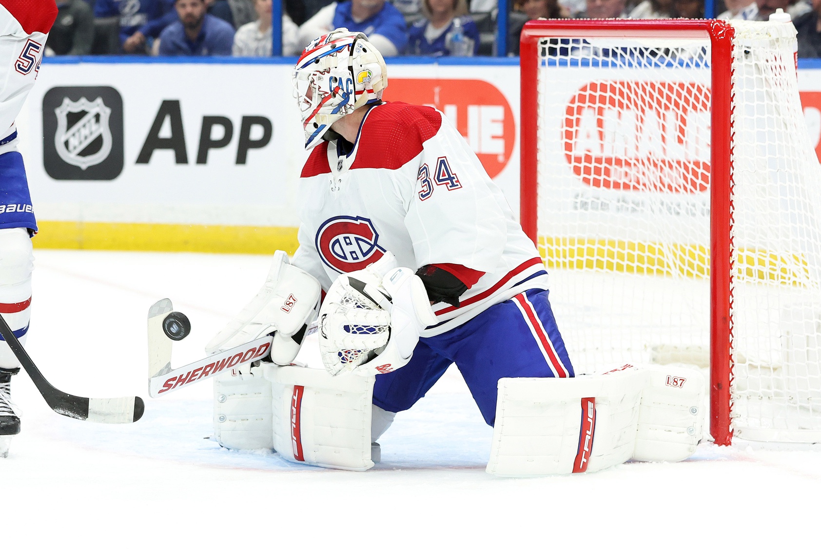 Winnipeg Jets vs Montreal Canadiens Prediction, 1/17/2023 NHL Picks, Best Bets & Odds