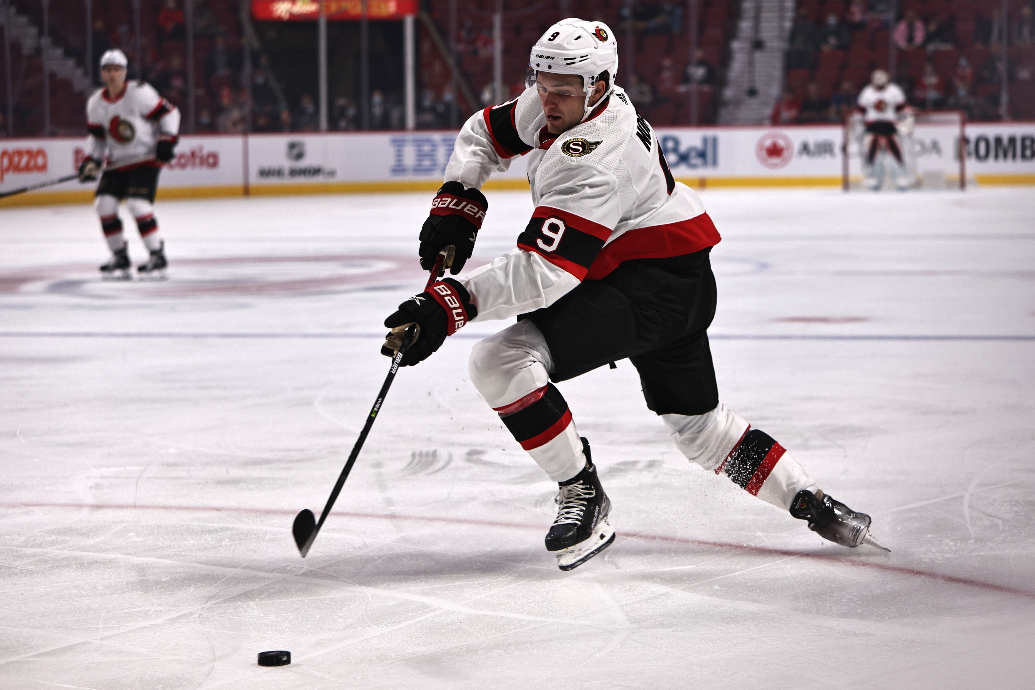 nhl picks Josh Norris Ottawa Senators predictions best bet odds