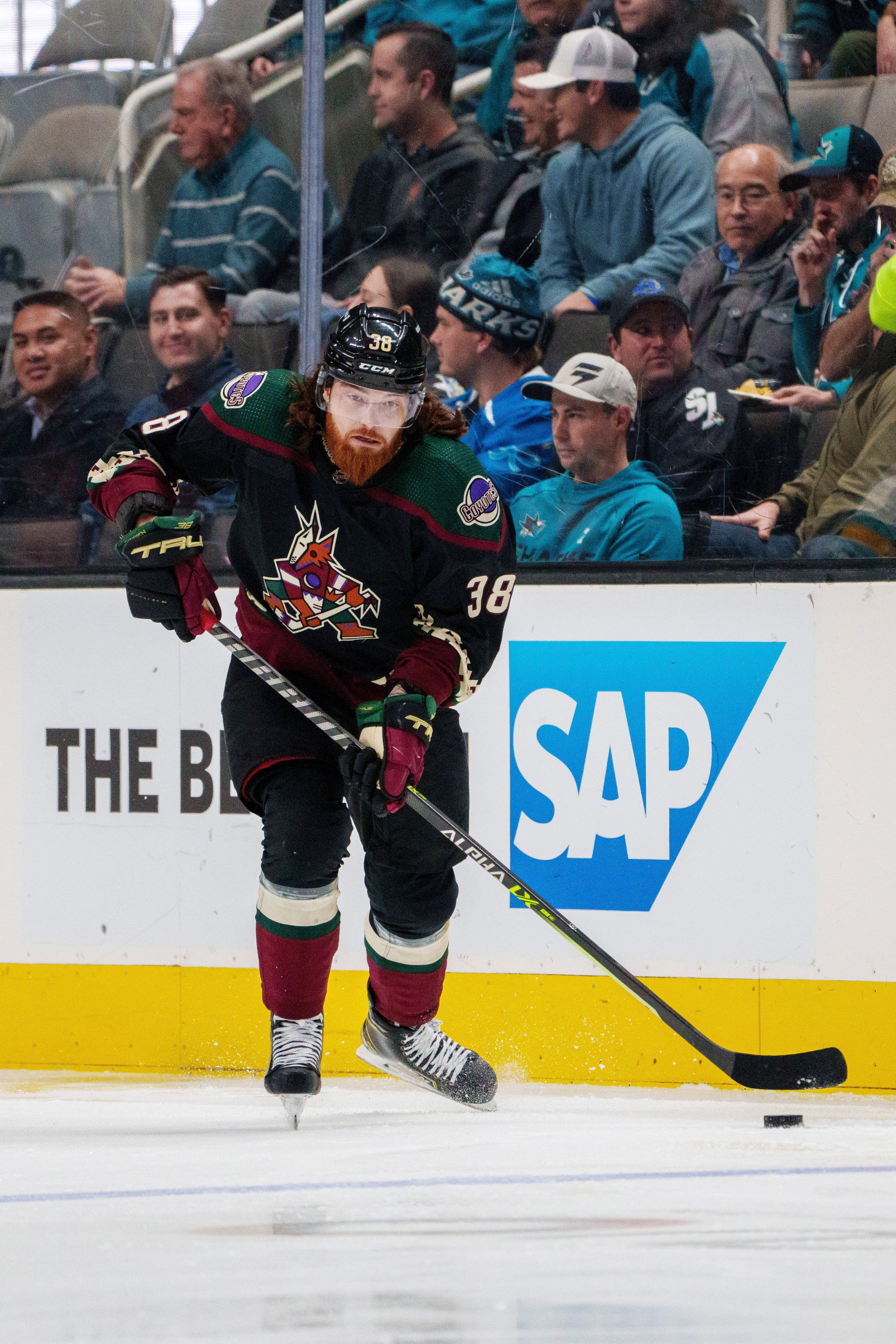 nhl picks Liam O'Brien Arizona Coyotes nhl picks