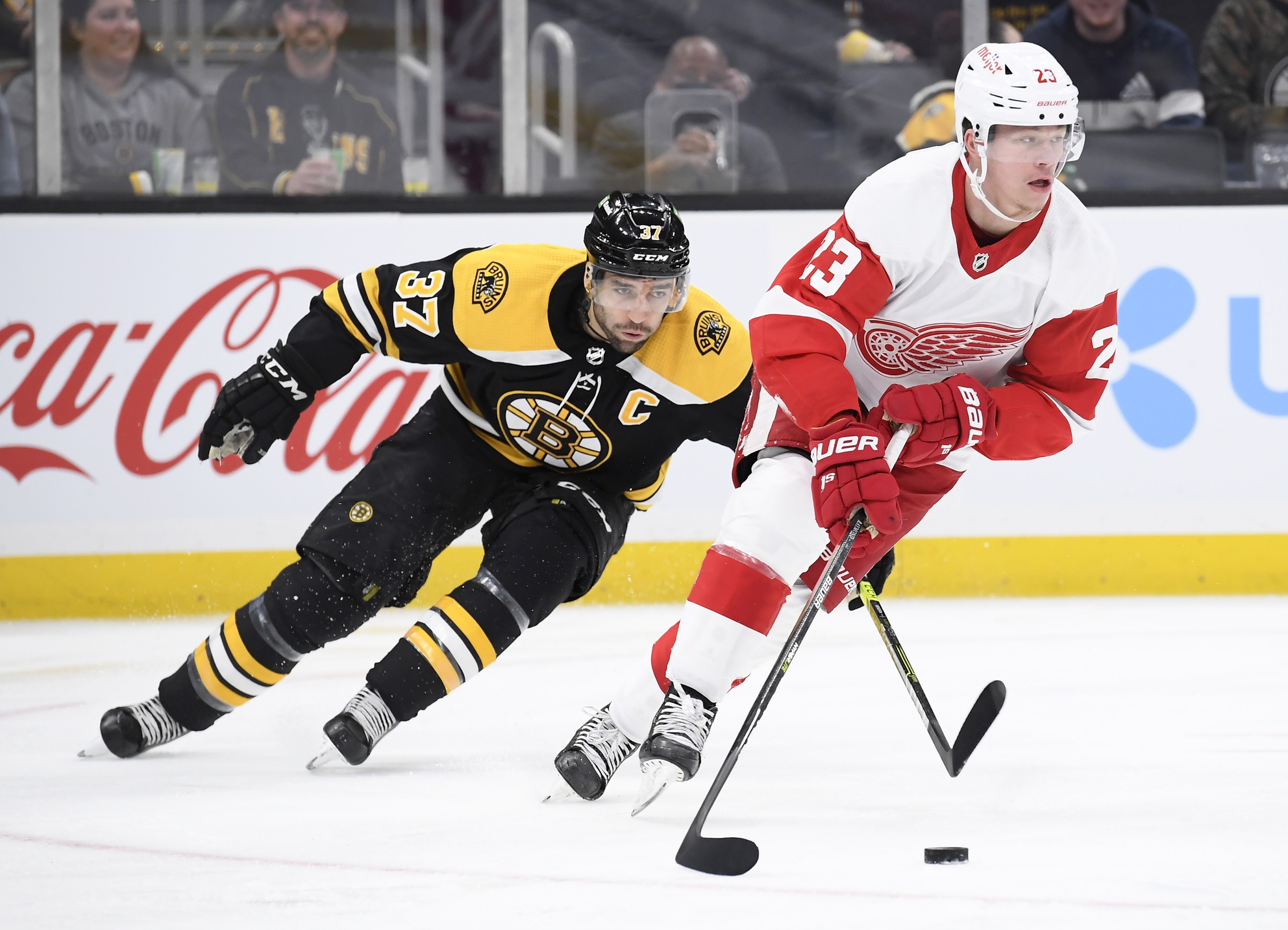 nhl picks Lucas Raymond Detroit Red Wings predictions best bet odds