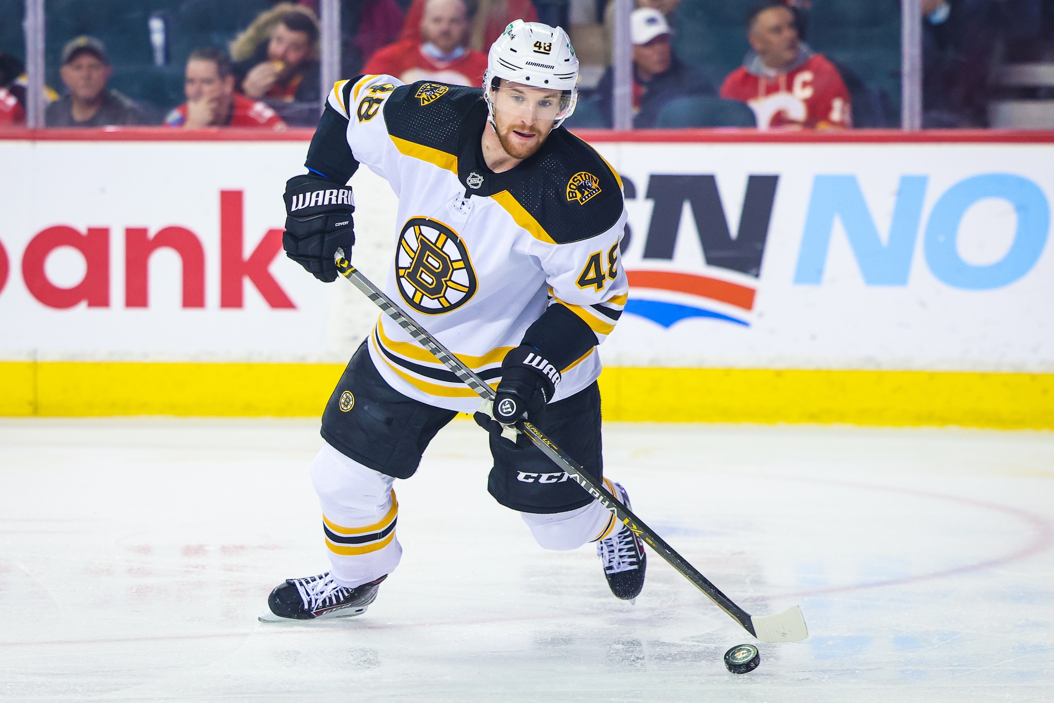 nhl picks Matt Grzelcyk Boston Bruins predictions best bet odds