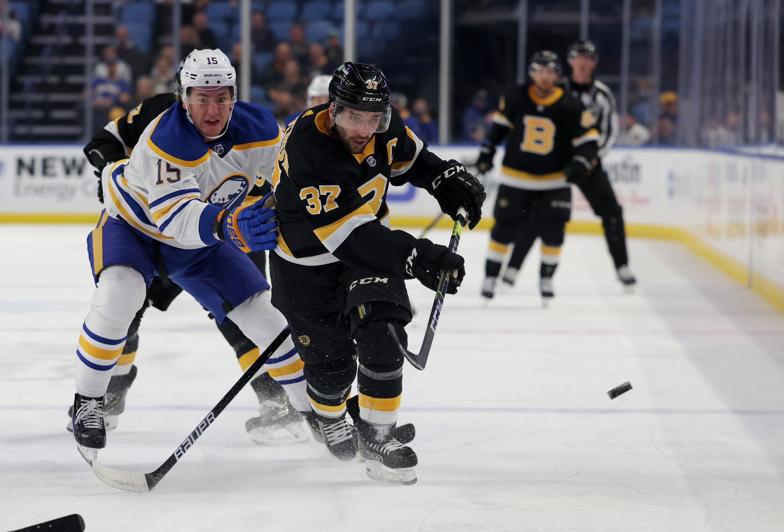 nhl picks Patrice Bergeron Boston Bruins predictions best bet odds