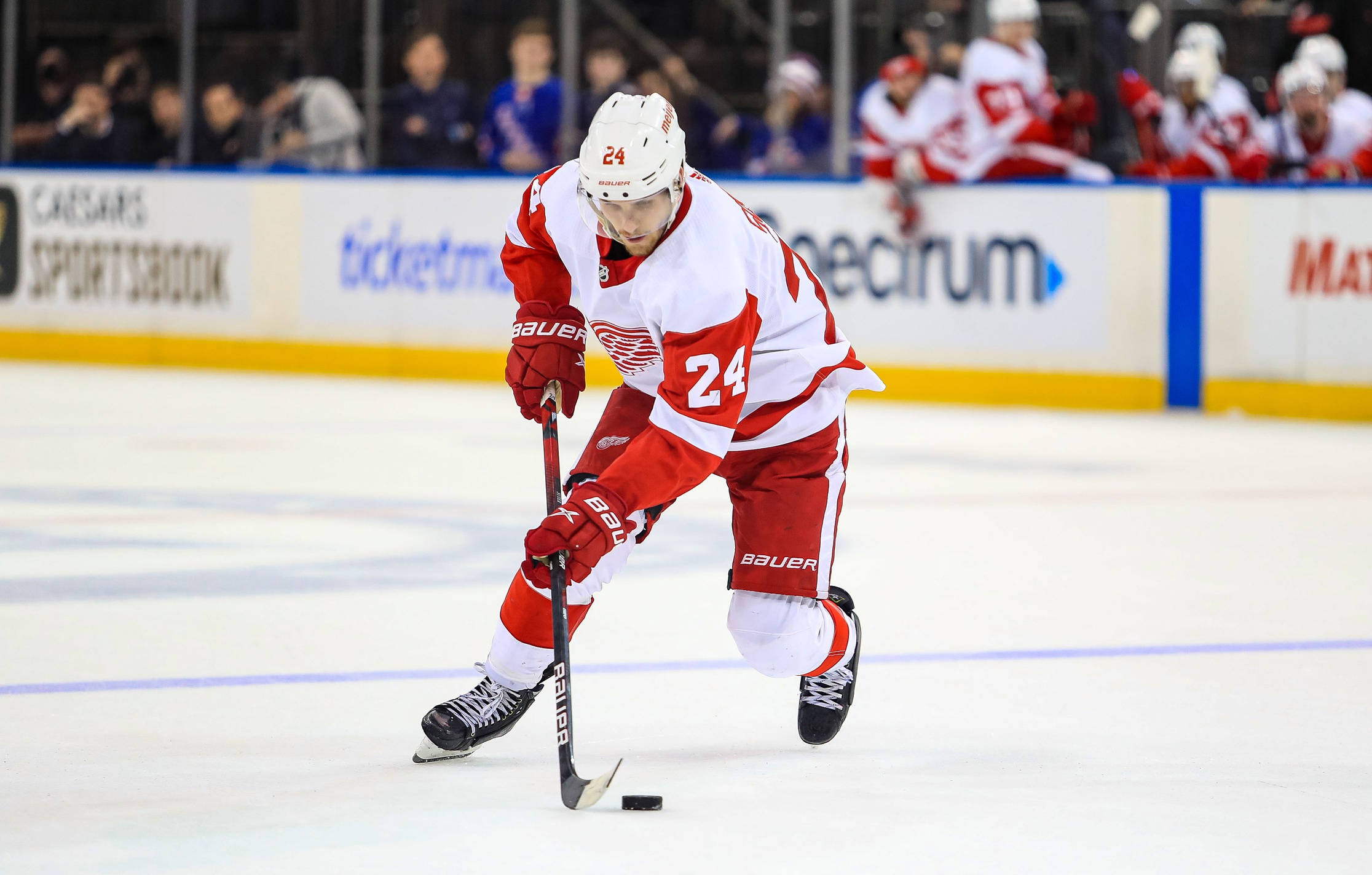 nhl picks Pius Suter Detroit Red Wings predictions best bet odds