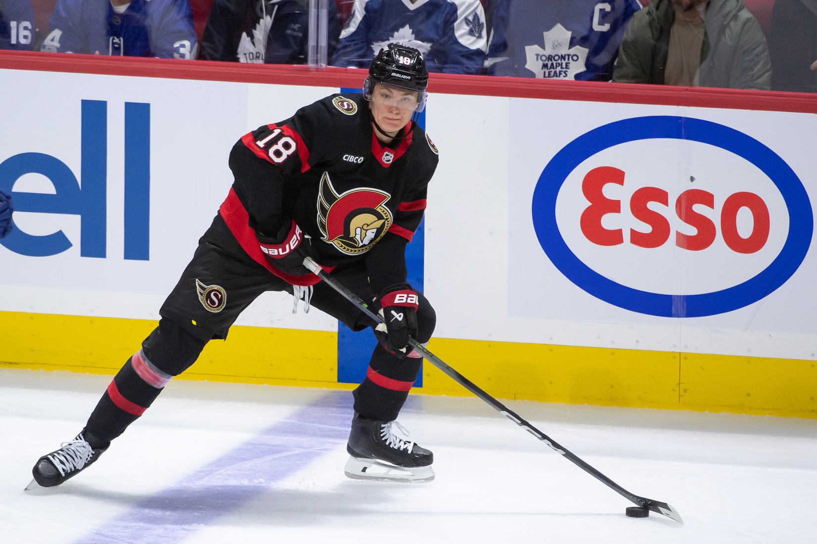 nhl picks Tim Stutzle Ottawa Senators nhl picks predictions best bet odds