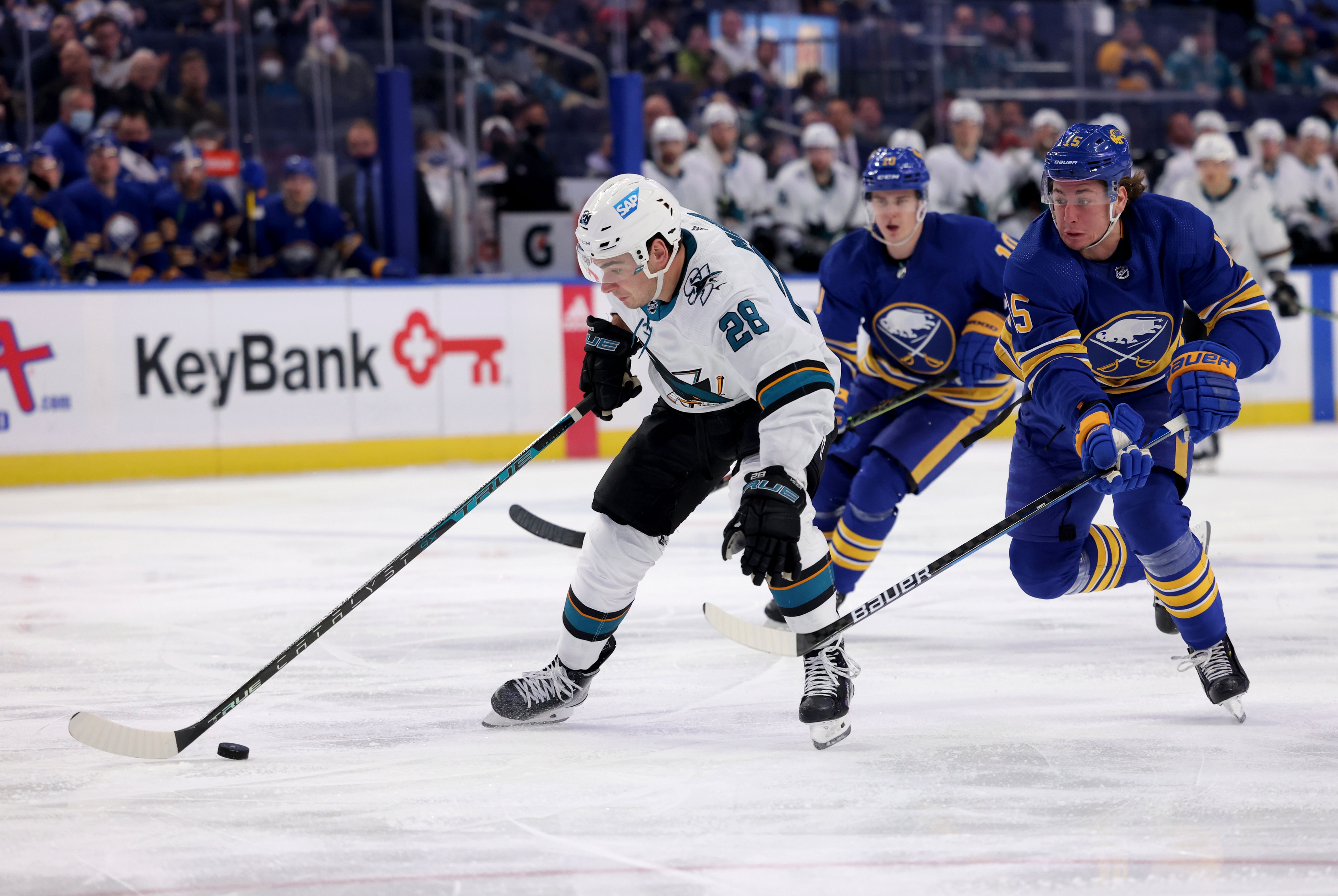 nhl picks Timo Meier San Jose Sharks predictions best bet odds