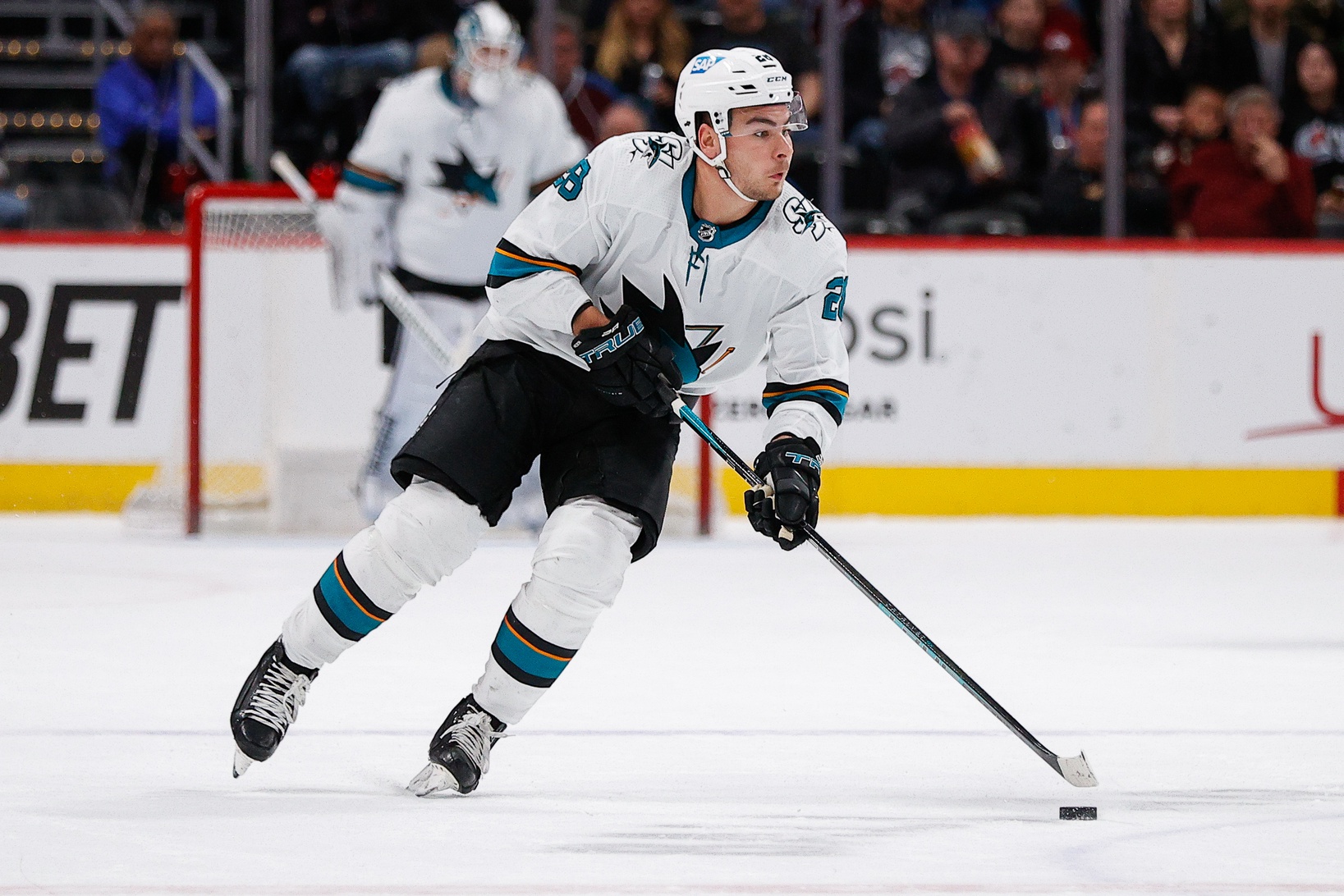 nhl picks Timo Meier San Jose Sharks predictions best bet odds