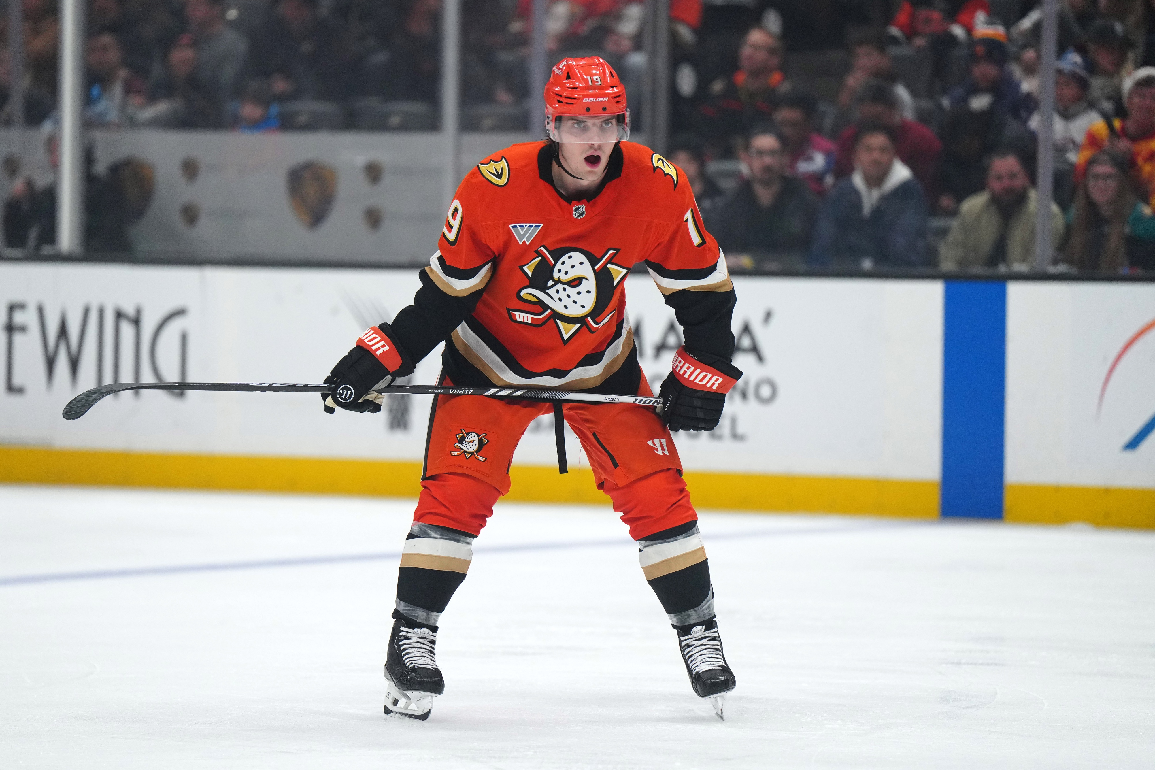 nhl picks Troy Terry Anaheim Ducks nhl picks