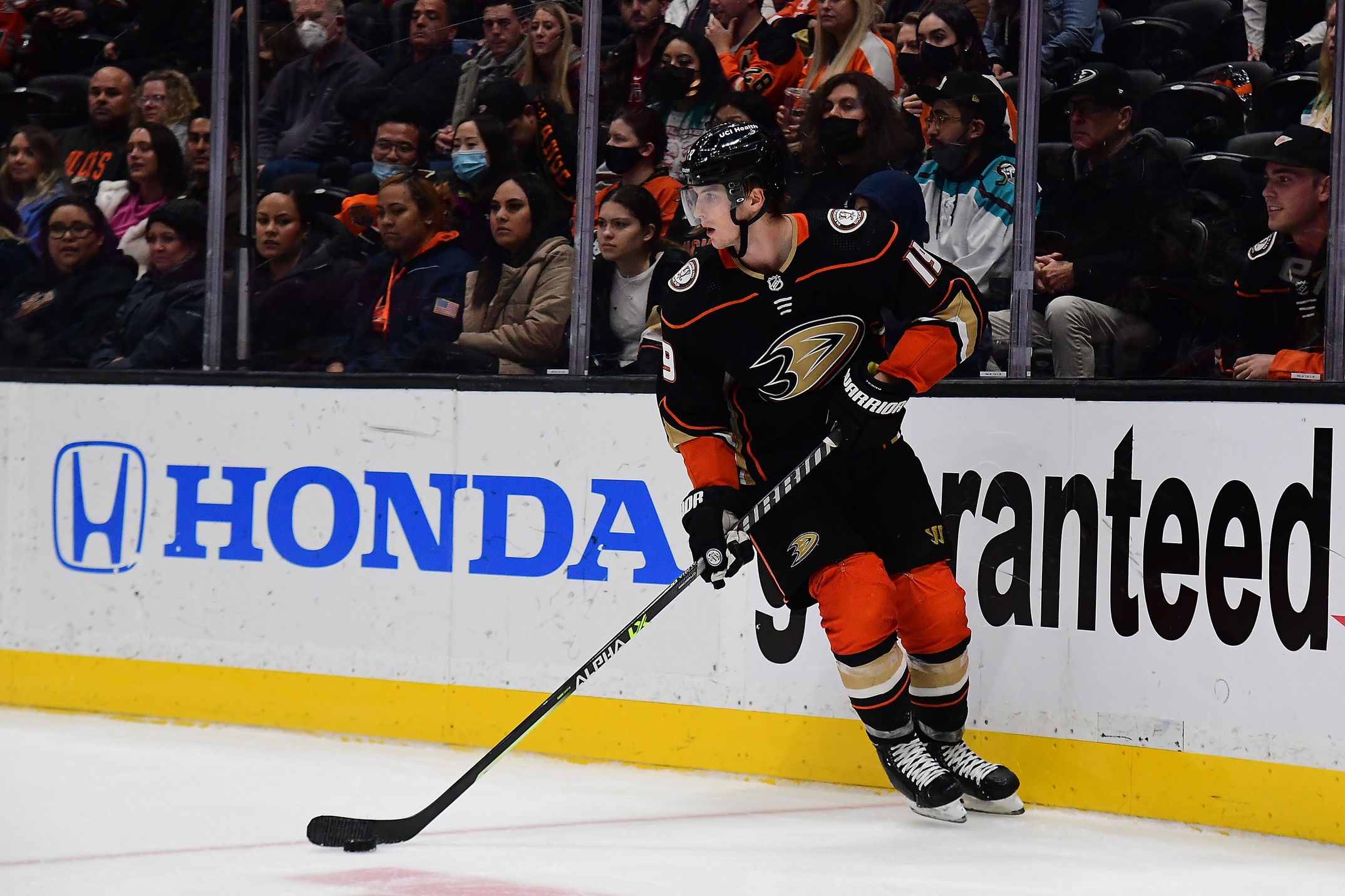 nhl picks Troy Terry Anaheim Ducks predictions best bet odds