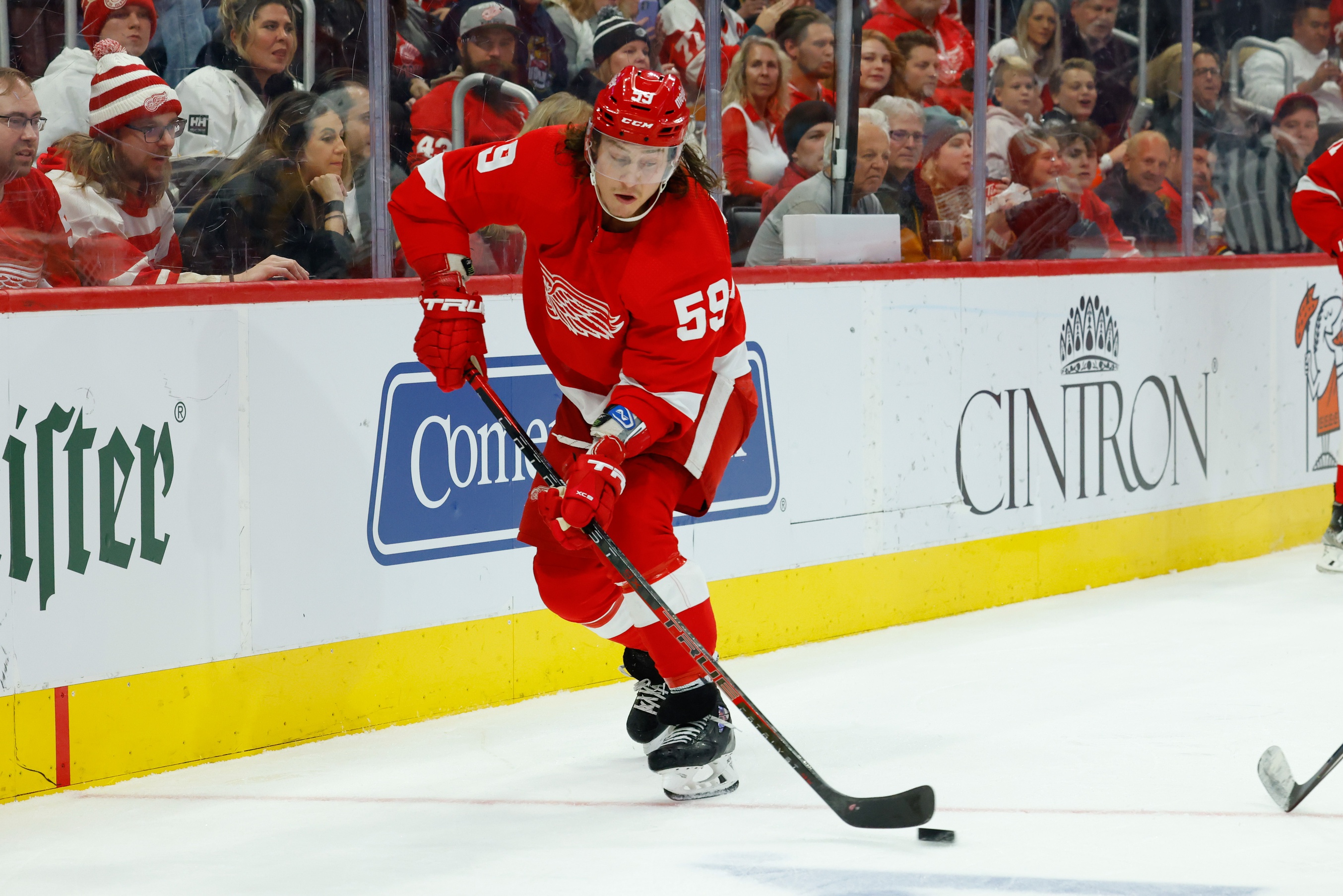 nhl picks Tyler Bertuzzi Detroit Red Wings predictions best bet odds