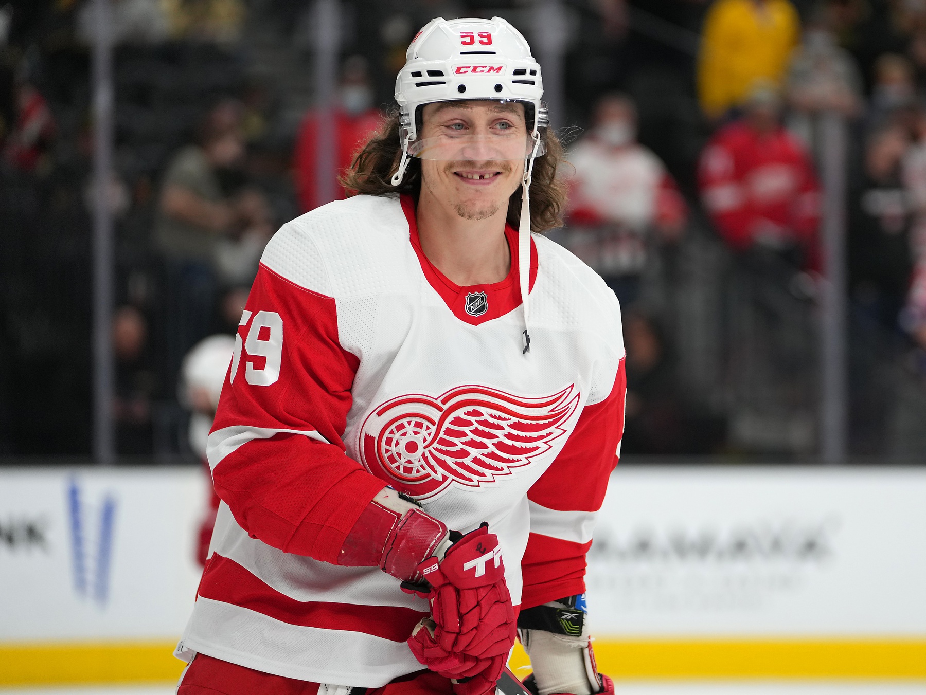 nhl picks Tyler Bertuzzi Detroit Red Wings predictions best bet odds