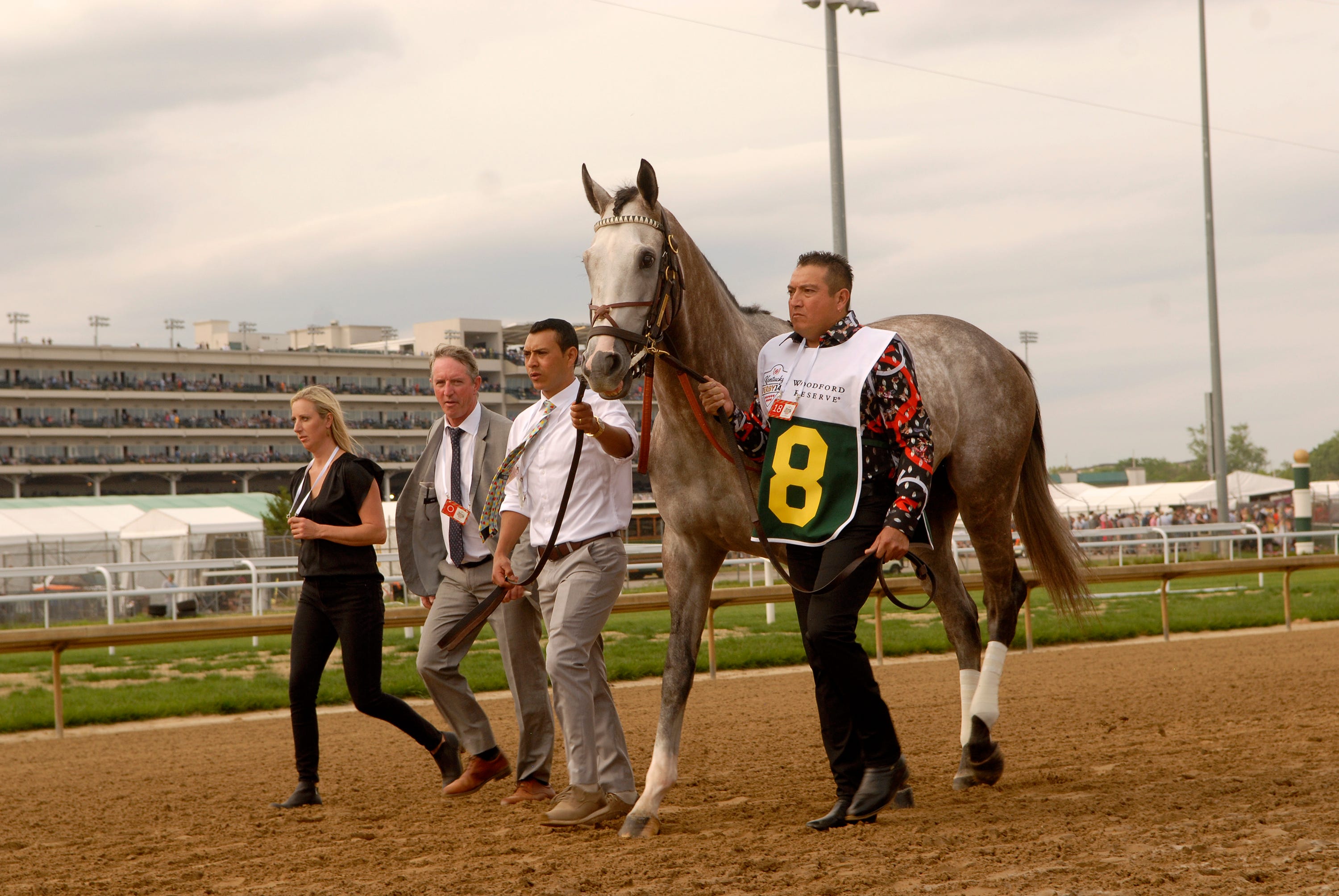 Preakness Stakes contenders Mage