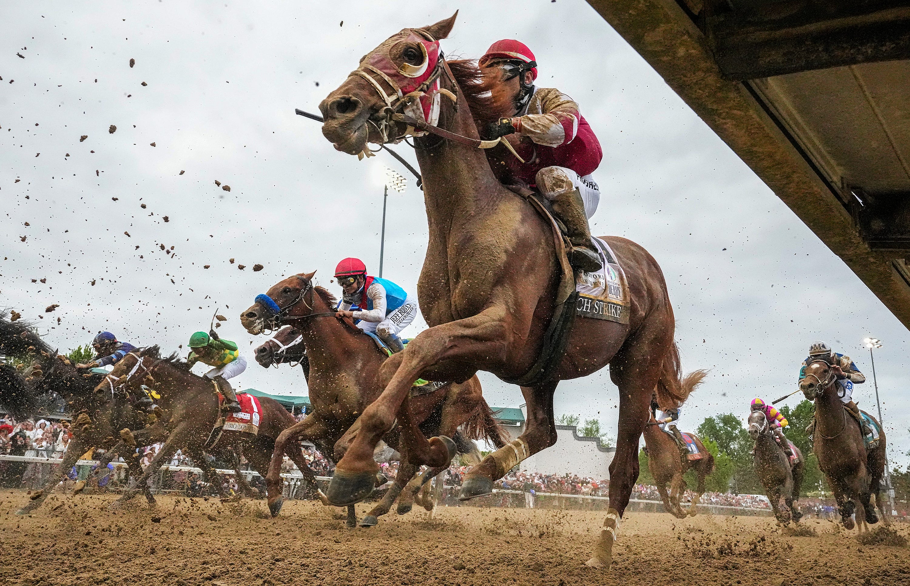 Preakness Stakes long shot predictions