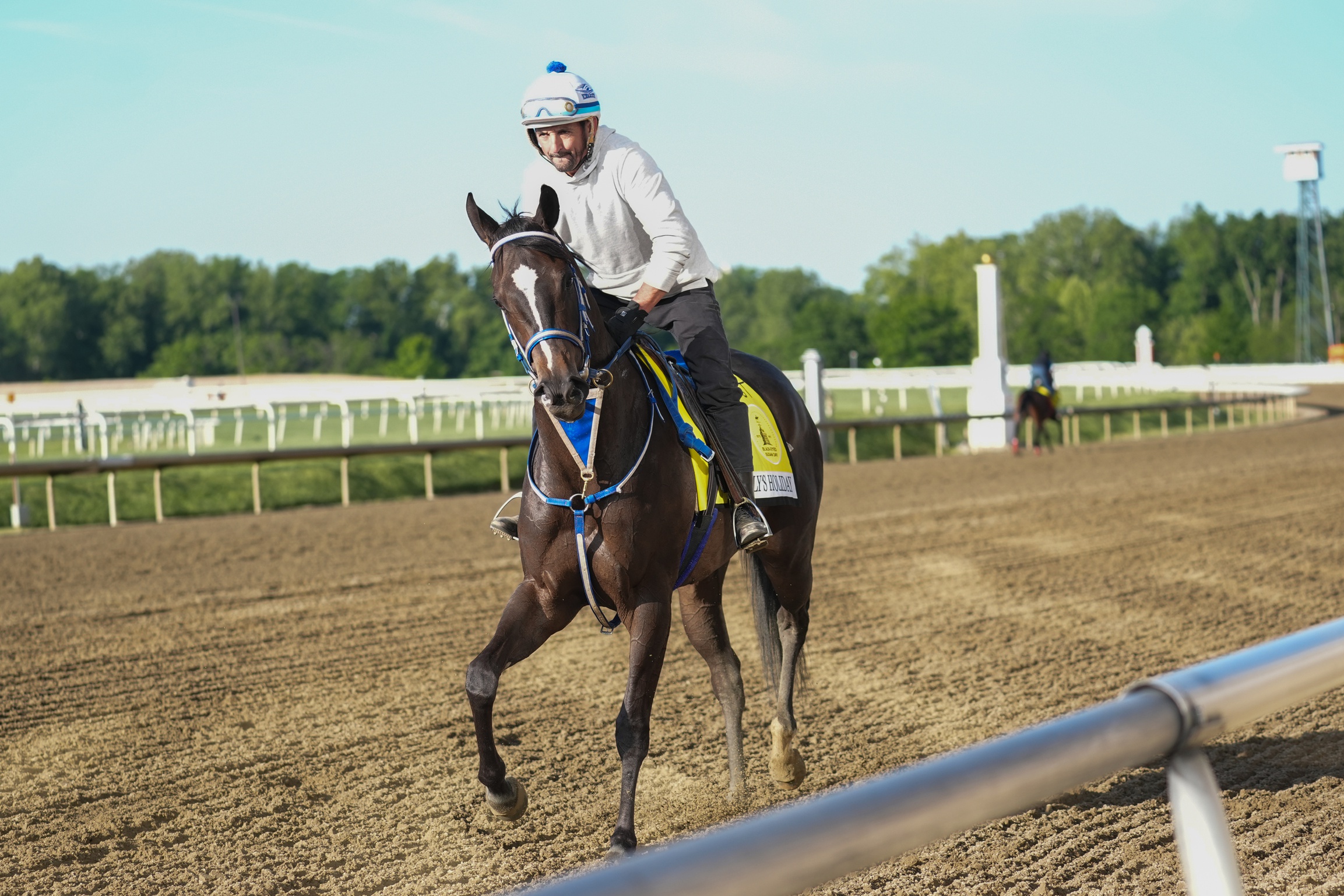 Preakness Stakes Long Shots