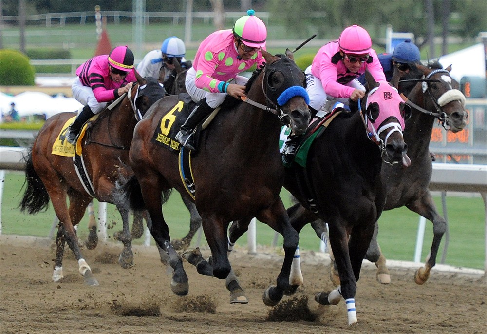what happens to my bet if my horse scratches