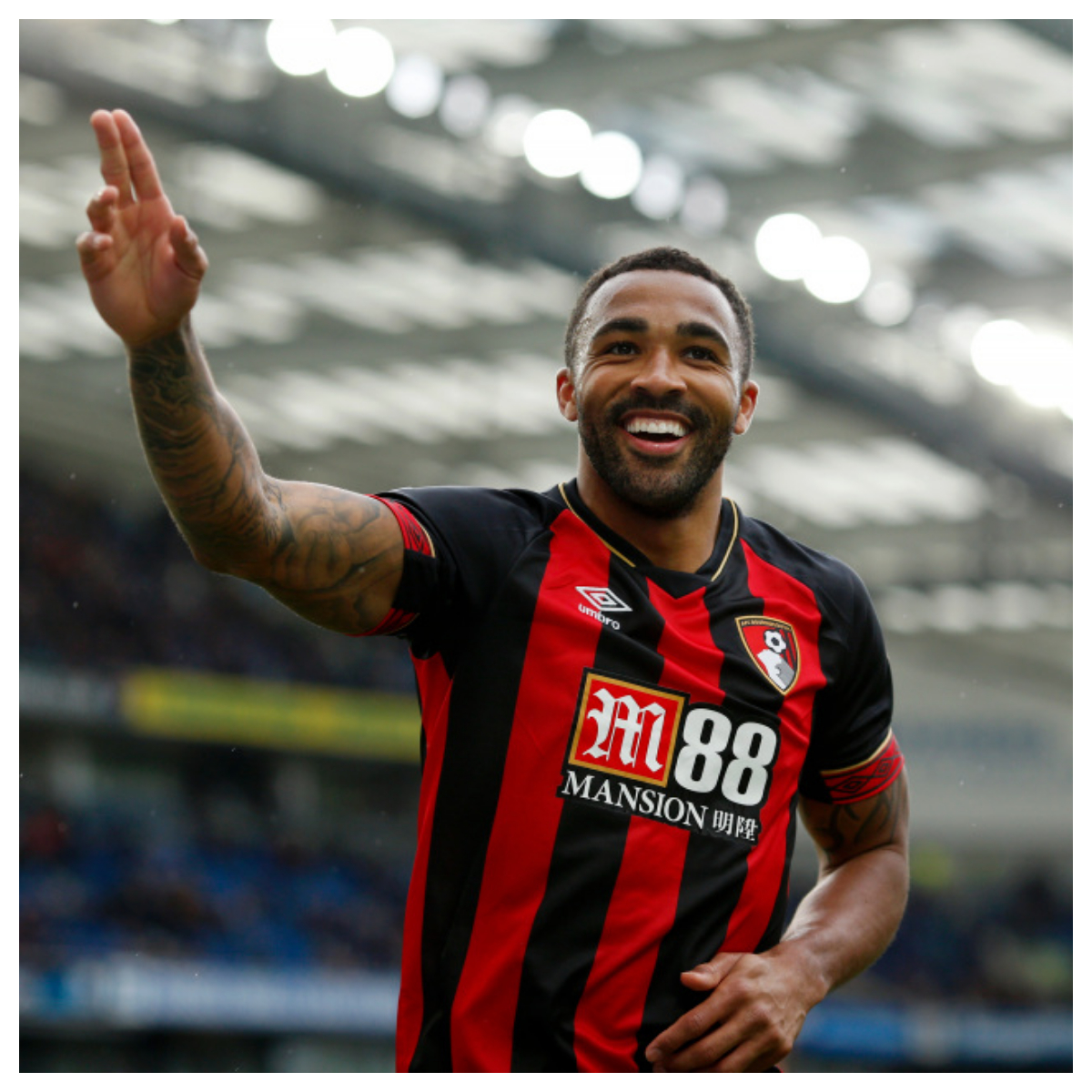 Newcastle United vs Bournemouth Prediction, 9/17/2022 EPL Soccer Pick, Tips and Odds