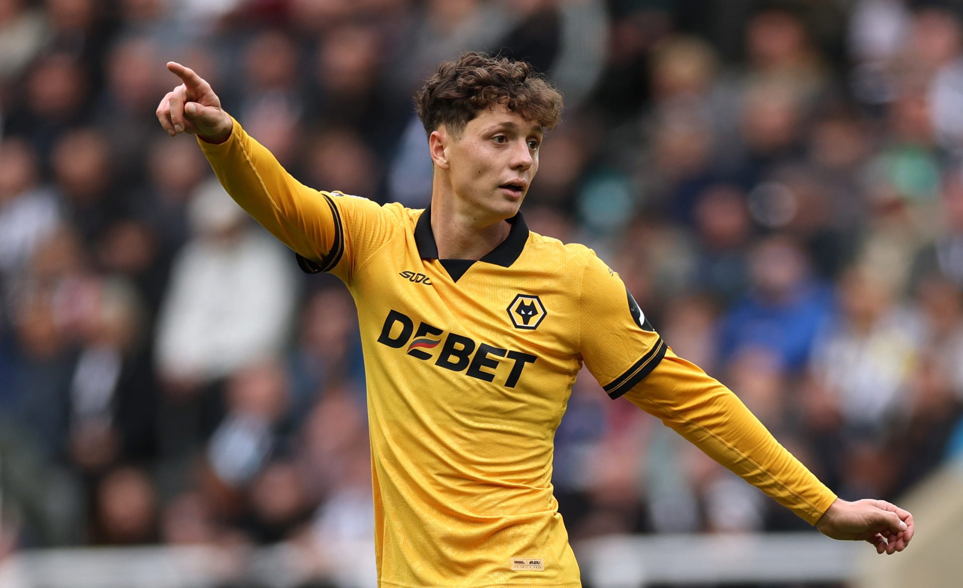 soccer picks Ladislav Krejci Wolverhampton predictions best bet odds